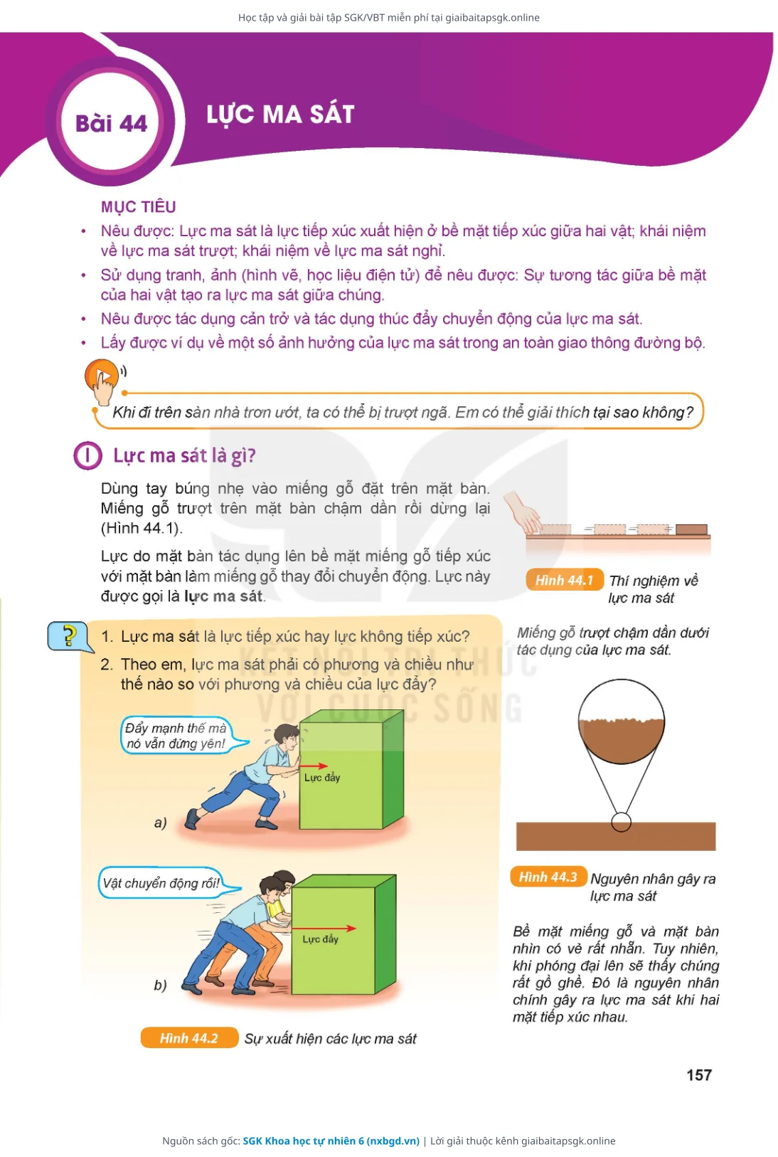 Trang 158 sách giáo khoa SGK Khoa học tự nhiên 6 thu nhỏ