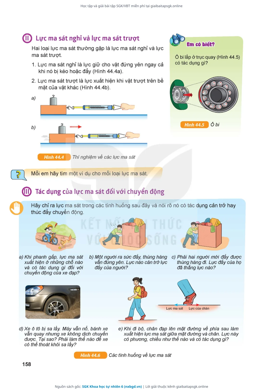 Trang 159 sách giáo khoa SGK Khoa học tự nhiên 6 thu nhỏ