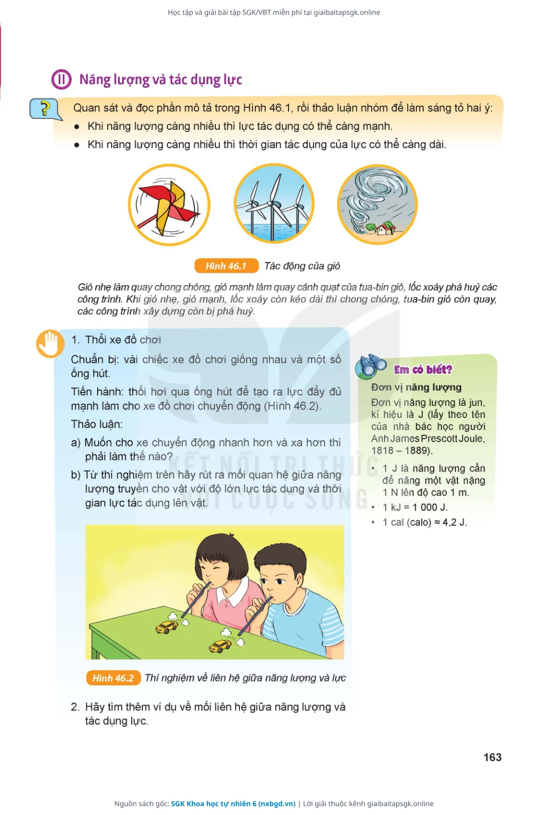 Trang 164 sách giáo khoa SGK Khoa học tự nhiên 6 thu nhỏ