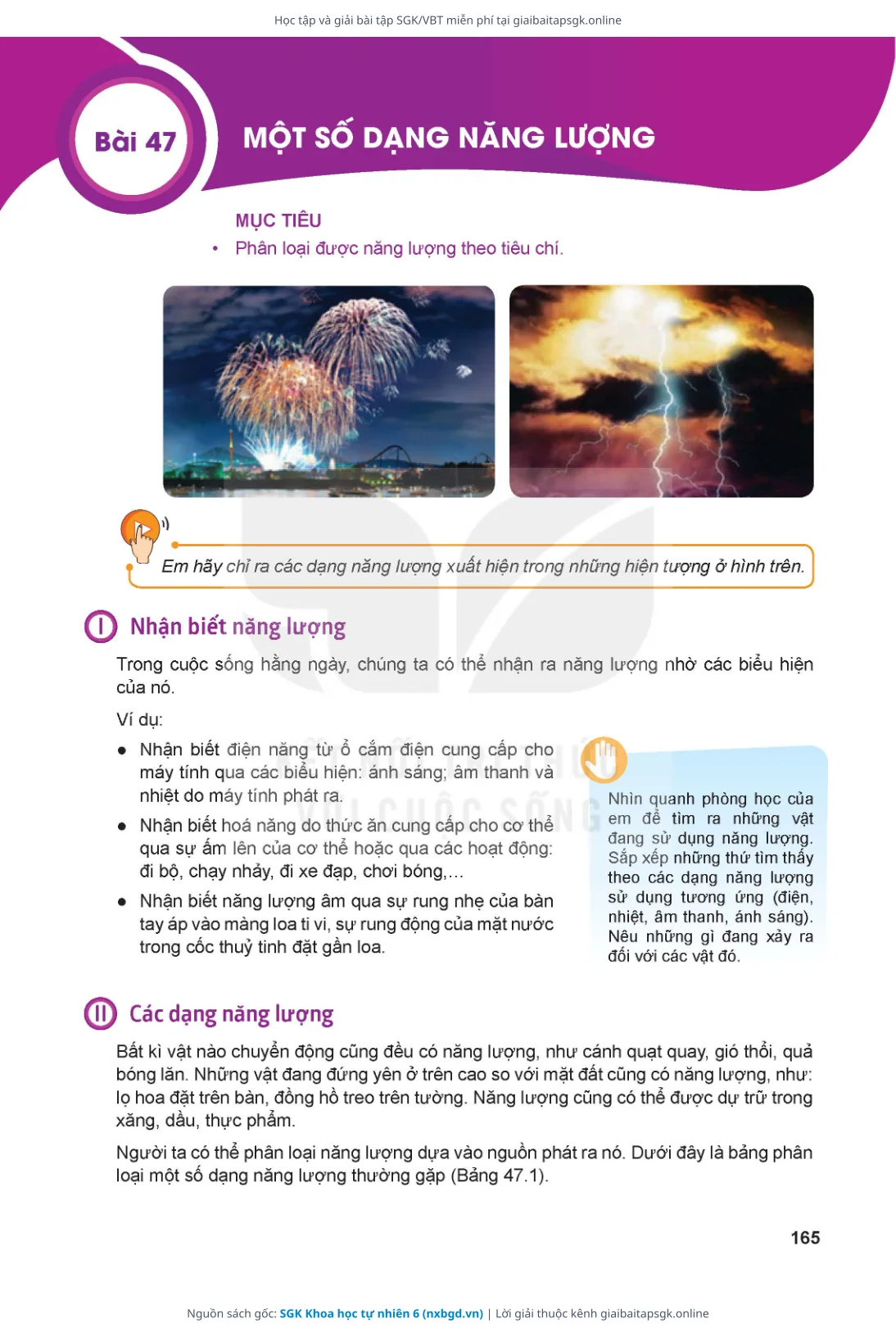 Trang 166 sách giáo khoa SGK Khoa học tự nhiên 6 thu nhỏ
