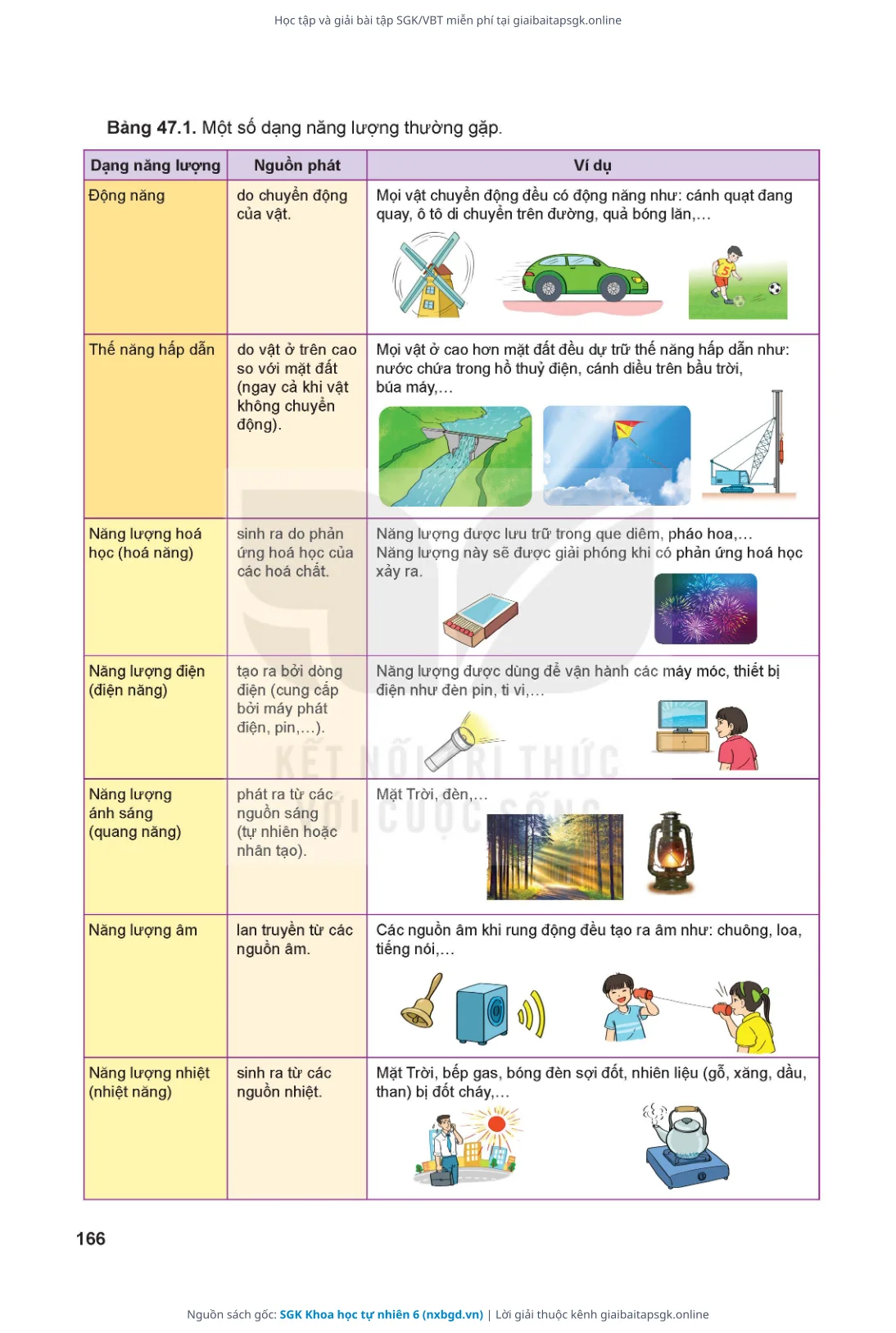 Trang 167 sách giáo khoa SGK Khoa học tự nhiên 6 thu nhỏ