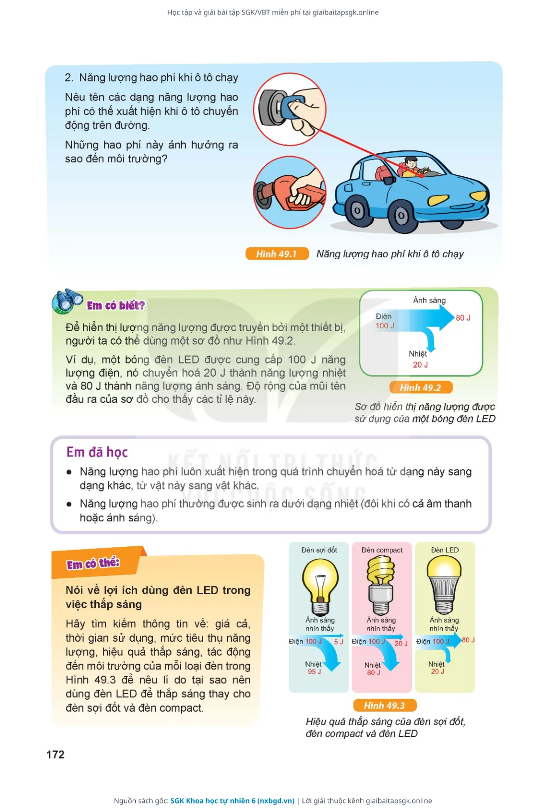Trang 173 sách giáo khoa SGK Khoa học tự nhiên 6 thu nhỏ
