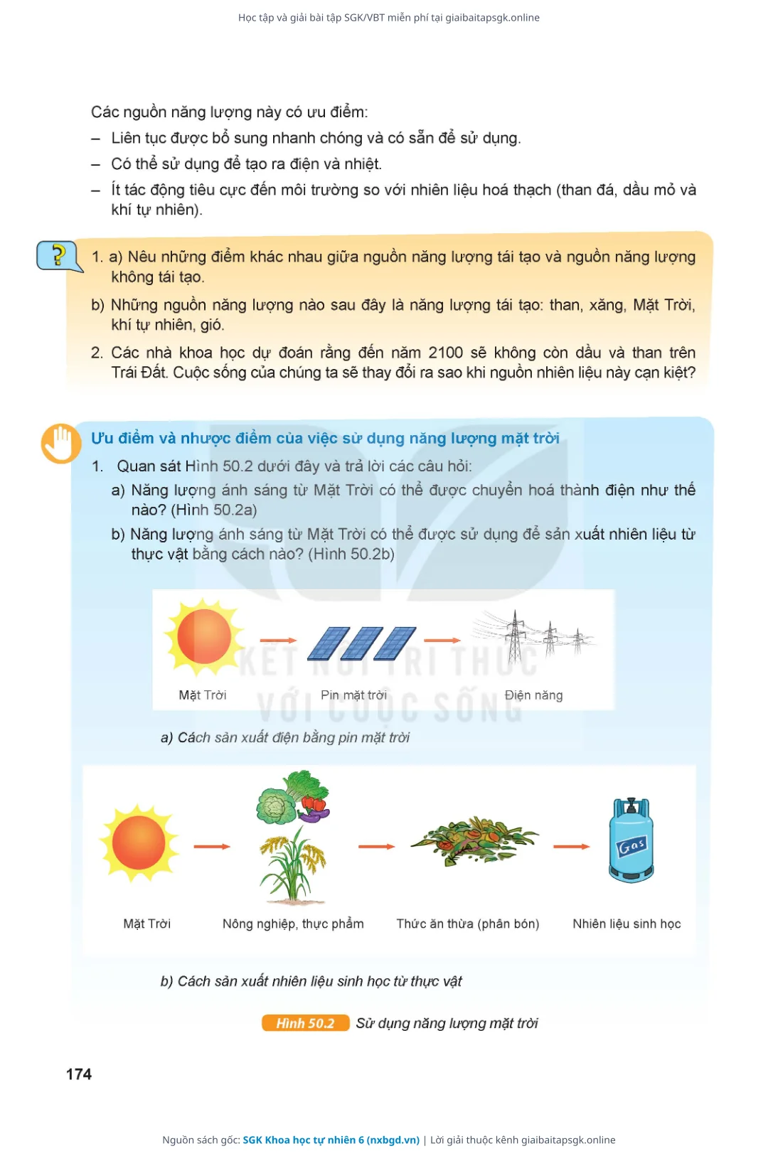 Trang 175 sách giáo khoa SGK Khoa học tự nhiên 6 thu nhỏ