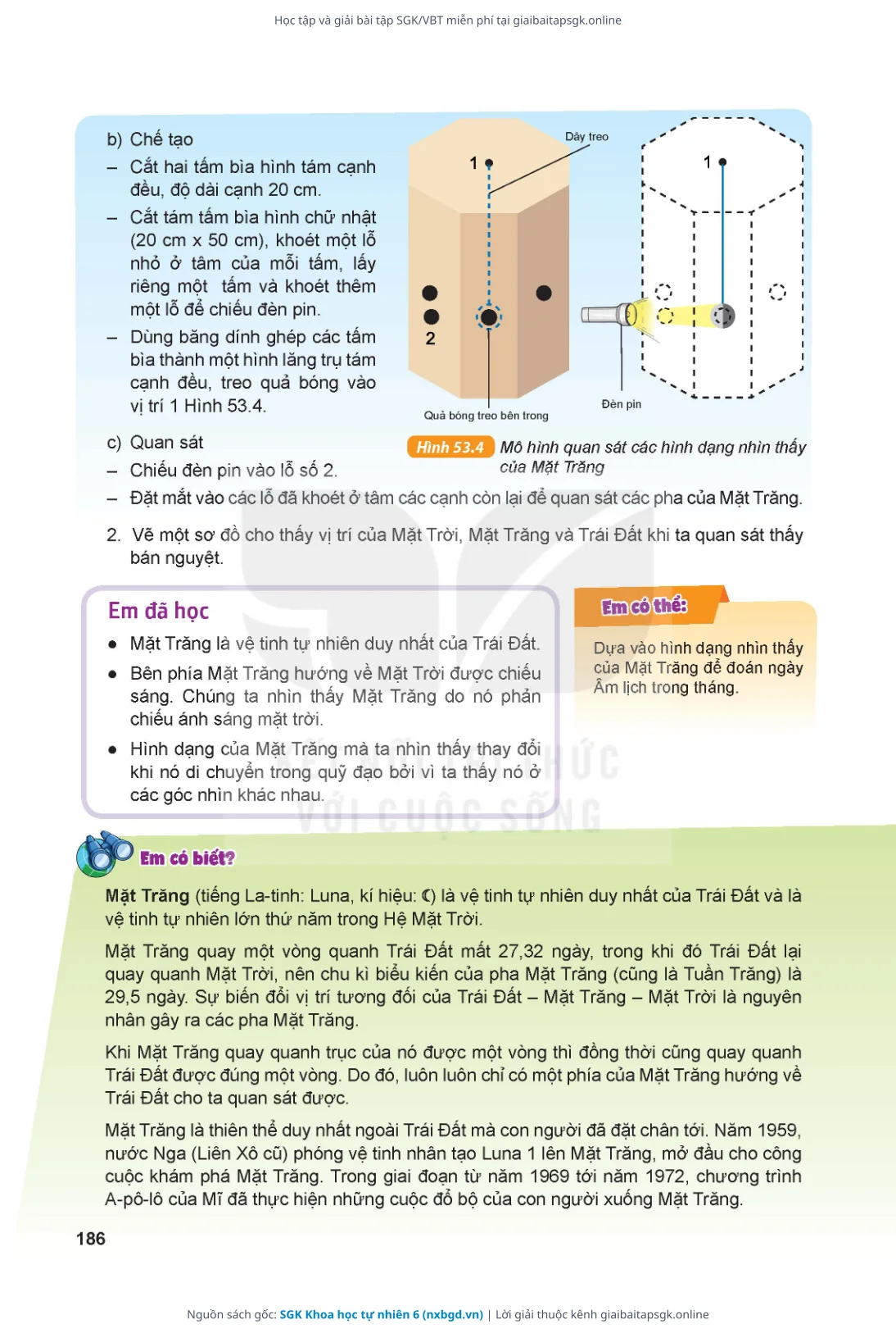 Trang 187 sách giáo khoa SGK Khoa học tự nhiên 6 thu nhỏ