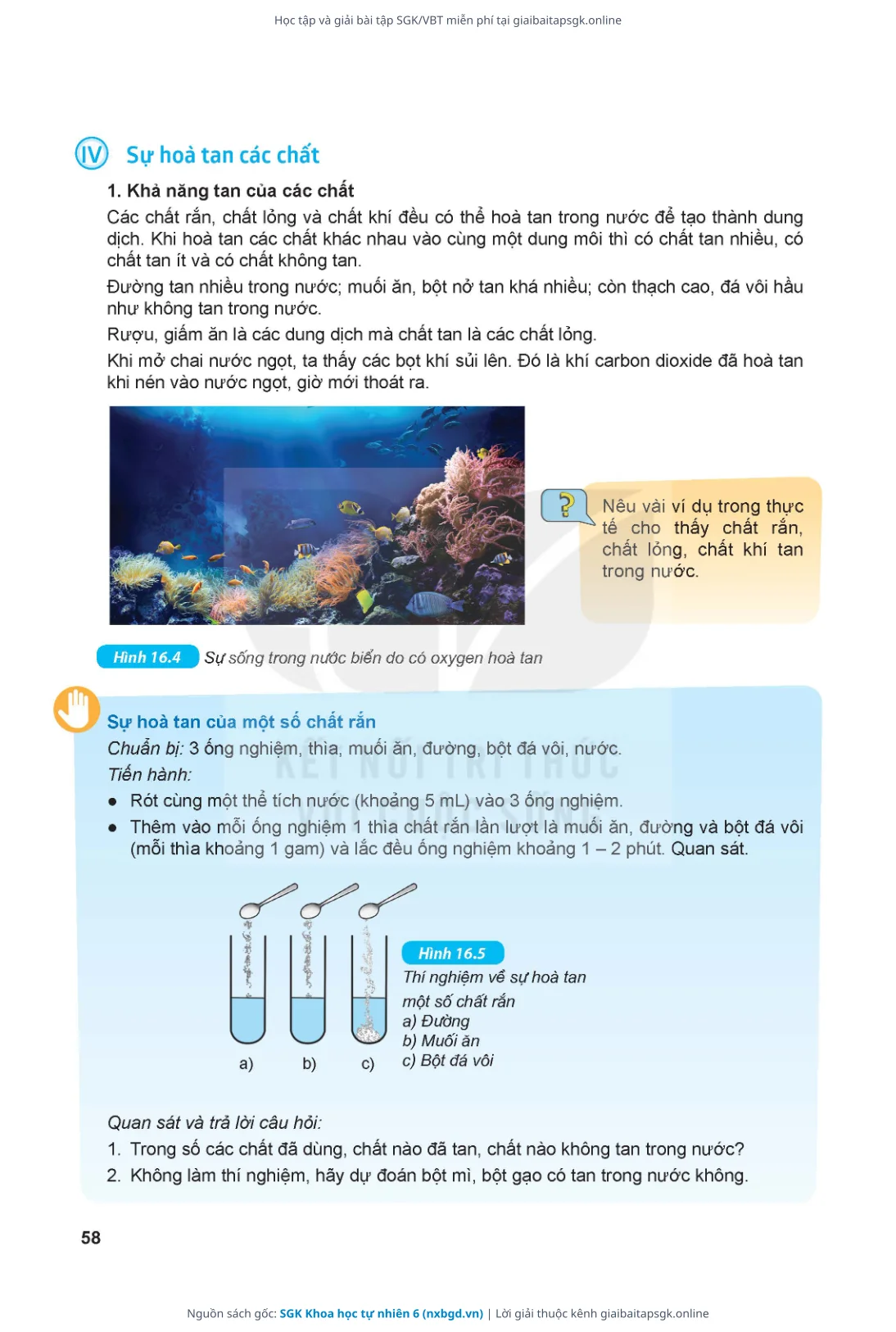Trang 59 sách giáo khoa SGK Khoa học tự nhiên 6 thu nhỏ
