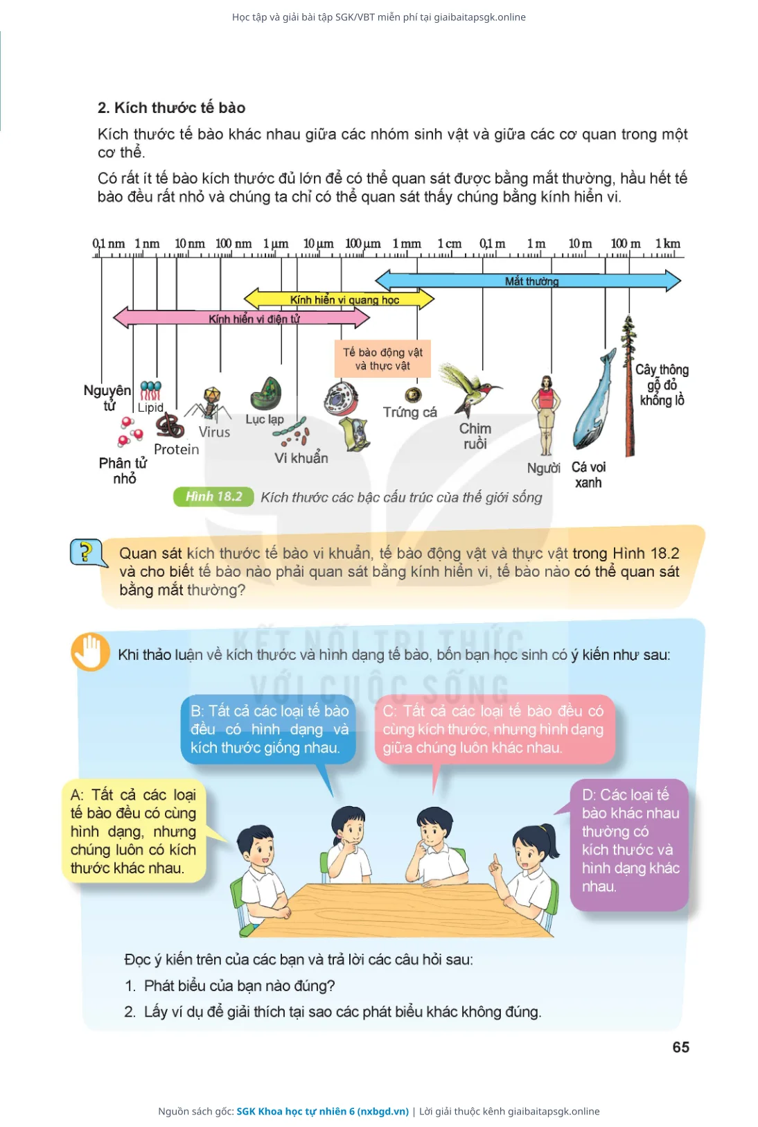Trang 66 sách giáo khoa SGK Khoa học tự nhiên 6 thu nhỏ