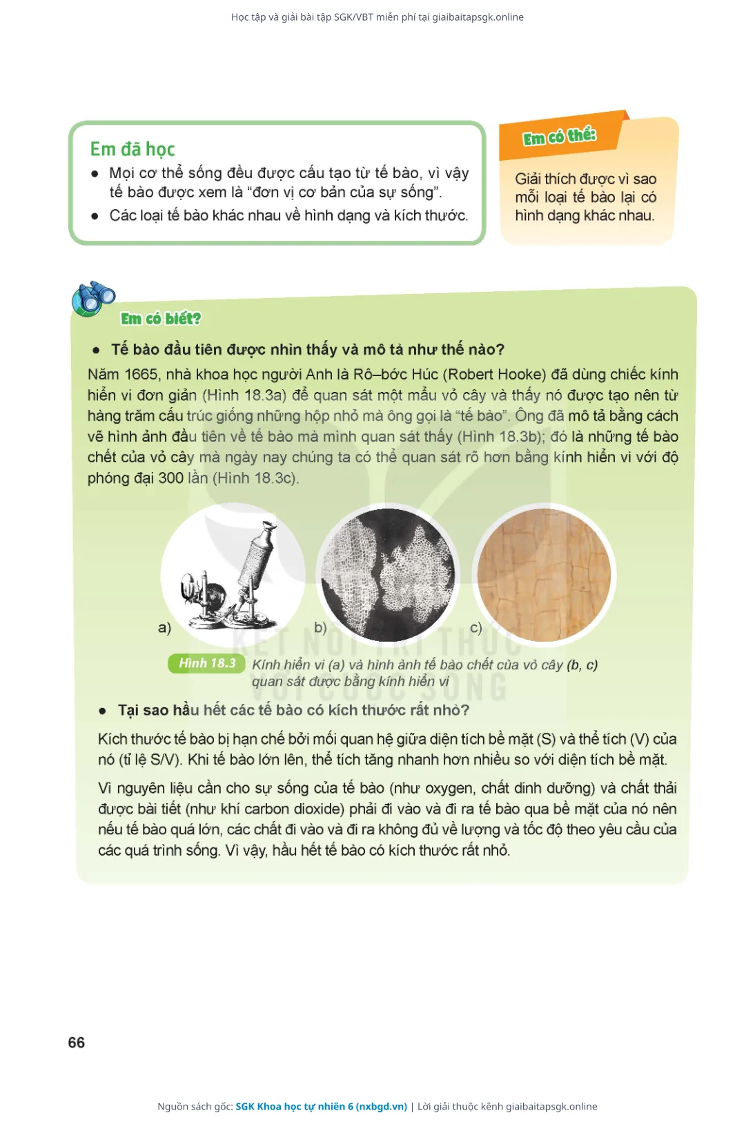 Trang 67 sách giáo khoa SGK Khoa học tự nhiên 6 thu nhỏ