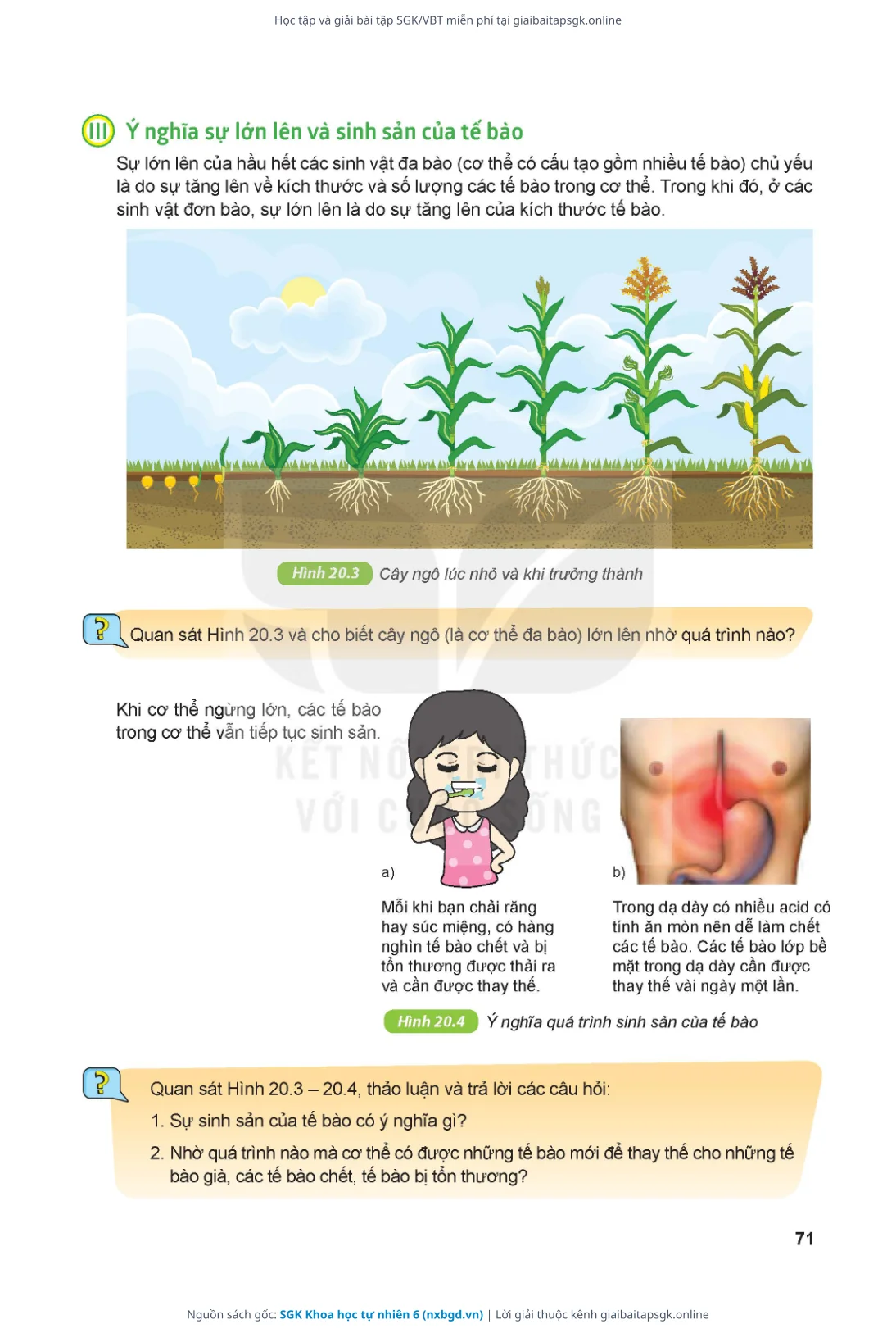 Trang 72 sách giáo khoa SGK Khoa học tự nhiên 6 thu nhỏ