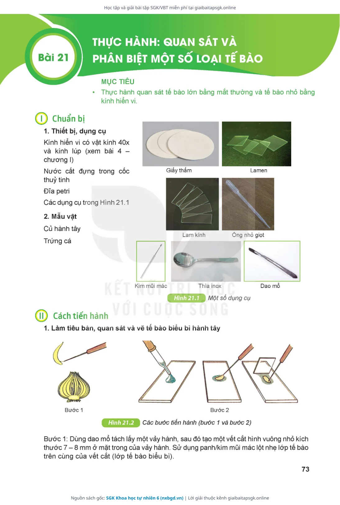 Trang 74 sách giáo khoa SGK Khoa học tự nhiên 6 thu nhỏ