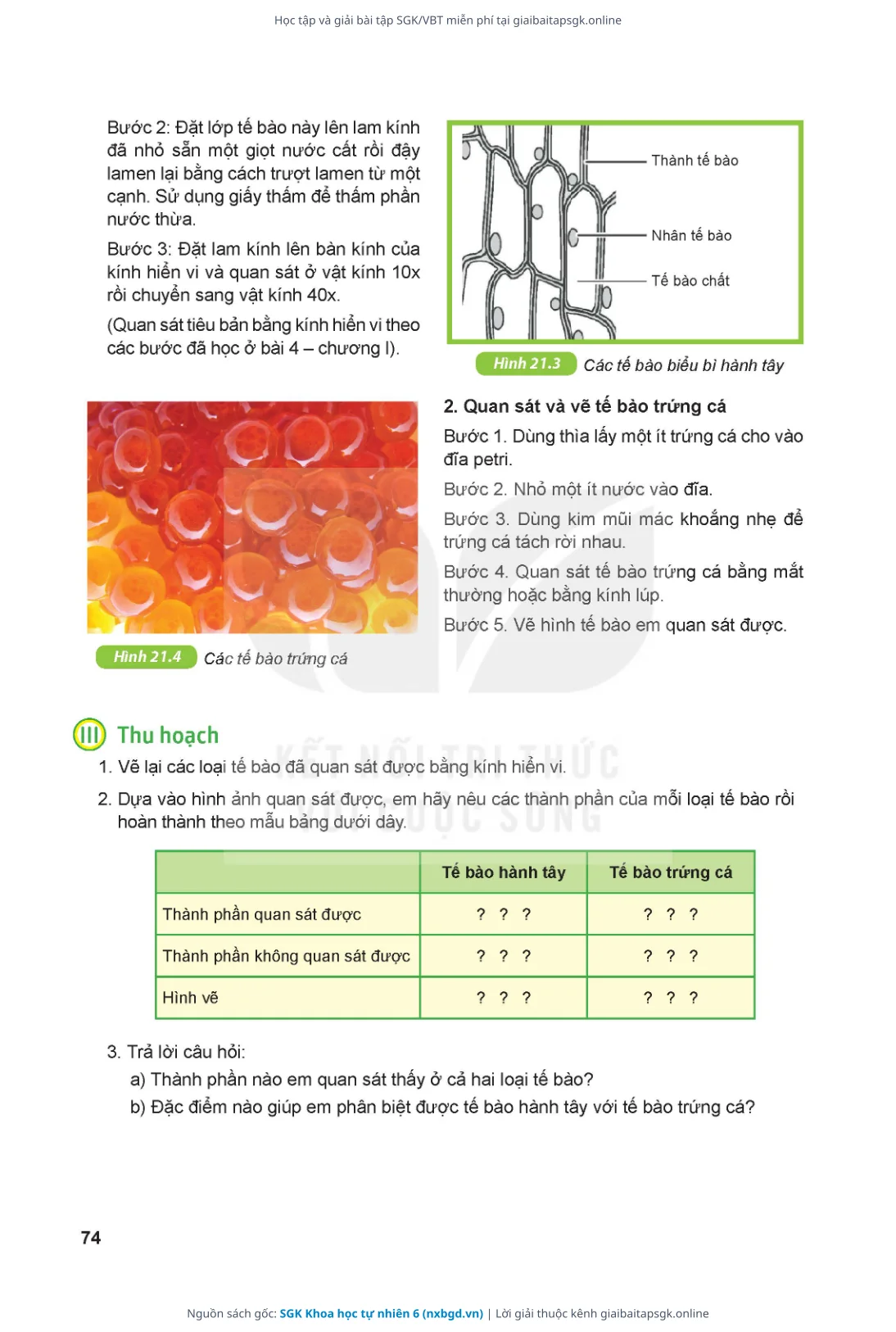 Trang 75 sách giáo khoa SGK Khoa học tự nhiên 6 thu nhỏ