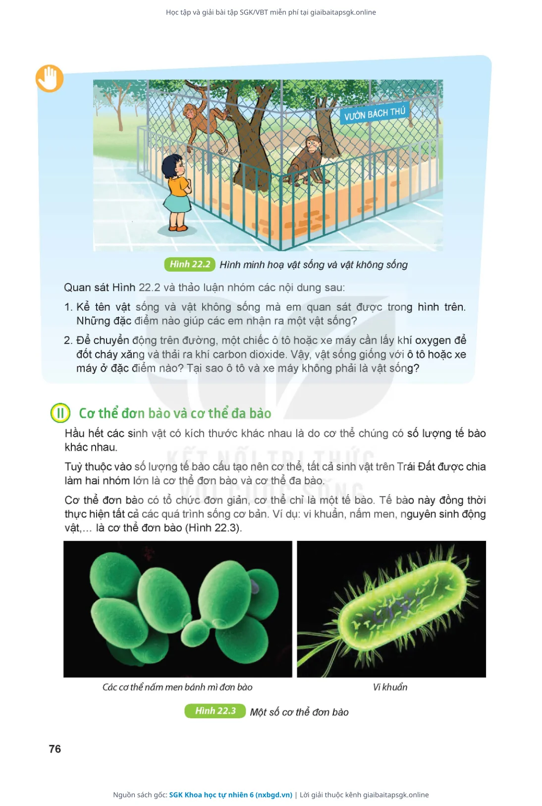 Trang 77 sách giáo khoa SGK Khoa học tự nhiên 6 thu nhỏ