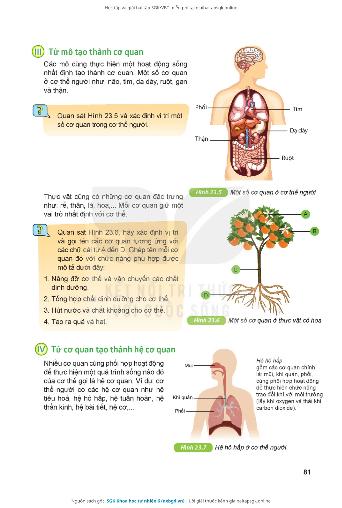 Trang 82 sách giáo khoa SGK Khoa học tự nhiên 6 thu nhỏ