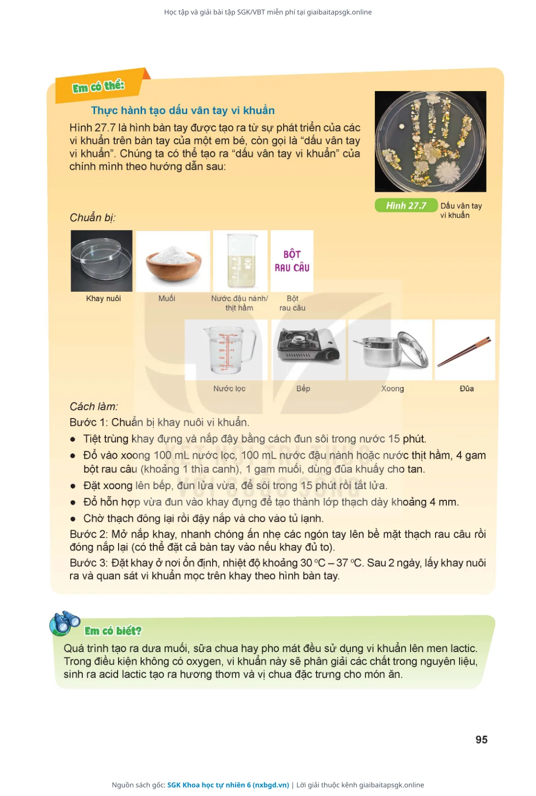 Trang 96 sách giáo khoa SGK Khoa học tự nhiên 6 thu nhỏ