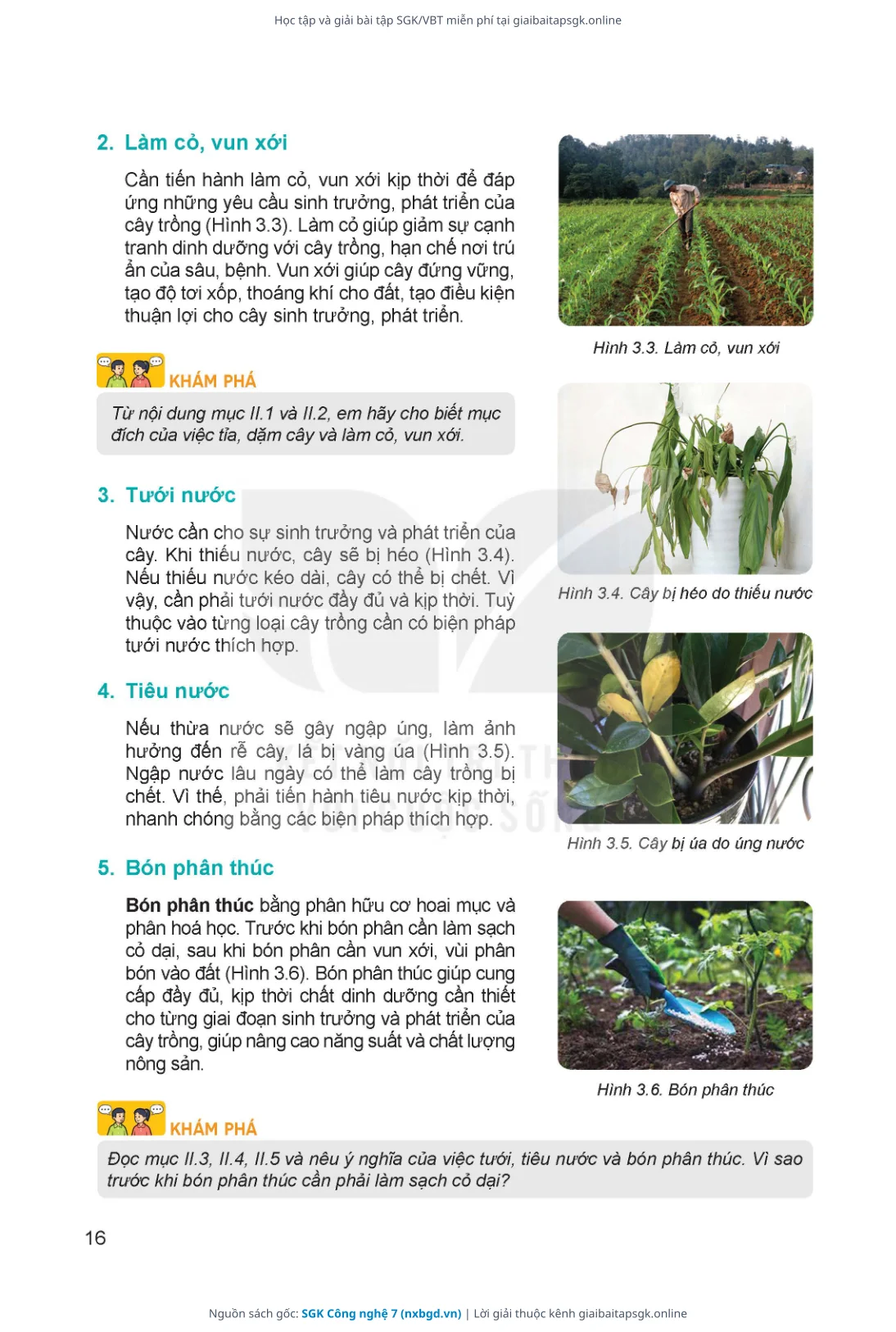 Trang 17 sách giáo khoa SGK Công nghệ 7 thu nhỏ