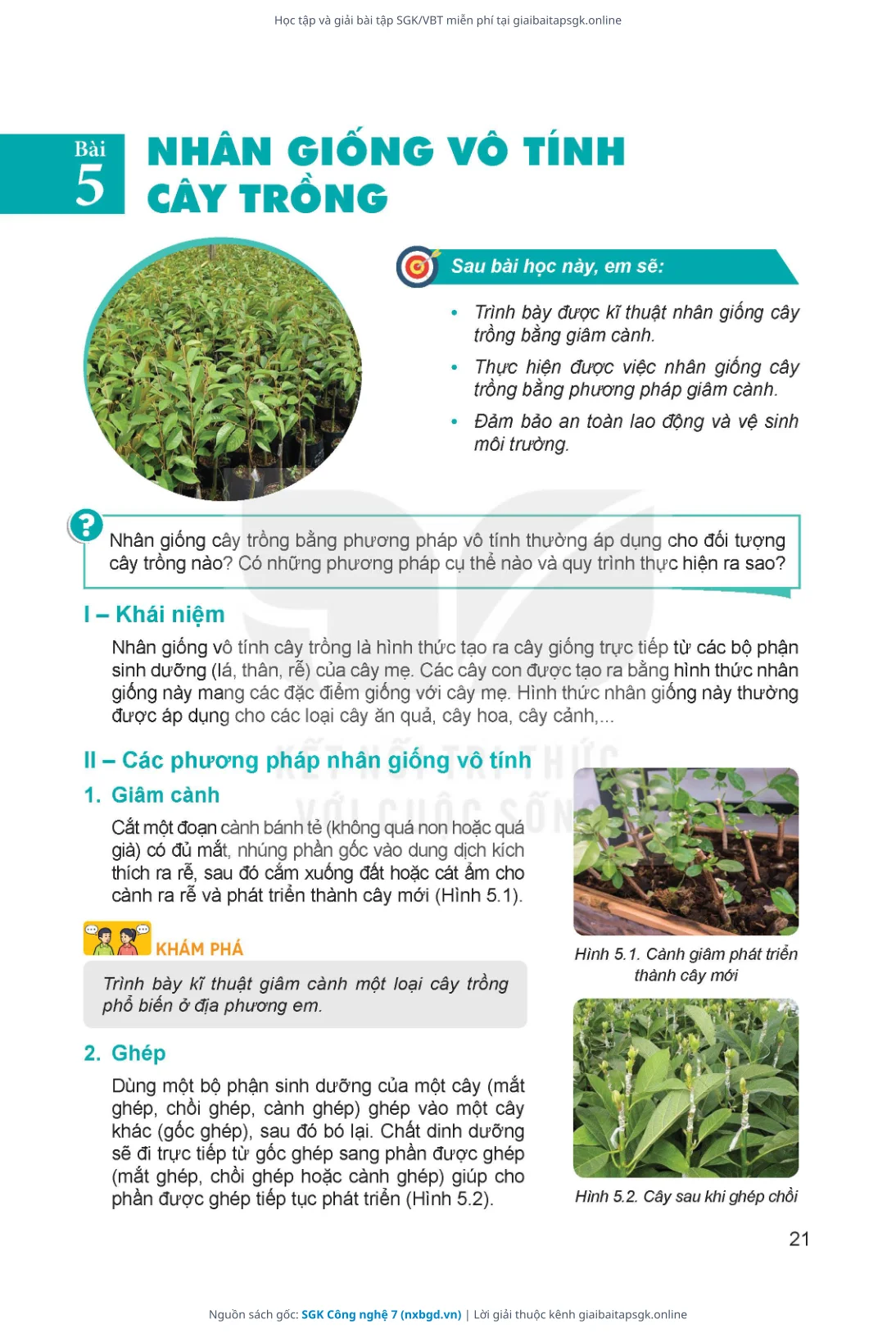 Trang 22 sách giáo khoa SGK Công nghệ 7 thu nhỏ