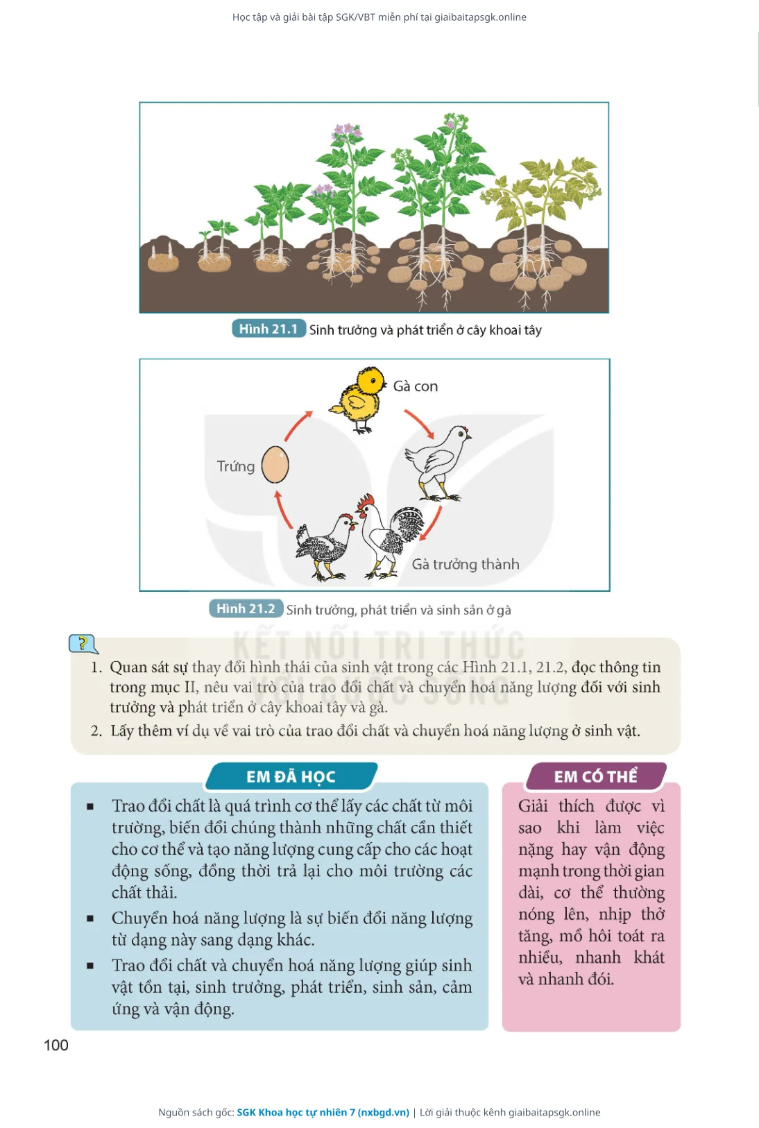 Trang 101 sách giáo khoa SGK Khoa học tự nhiên 7 thu nhỏ
