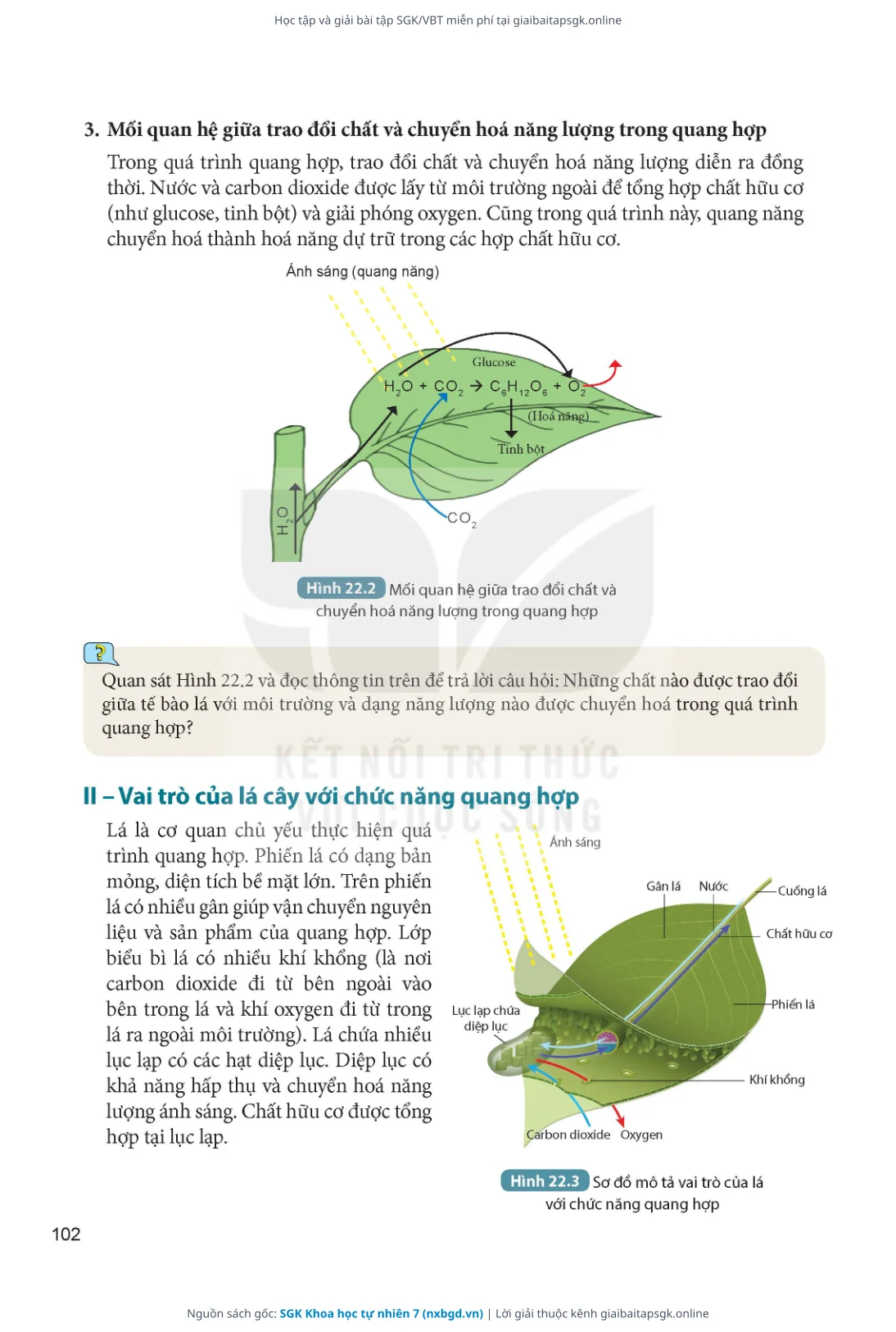 Trang 103 sách giáo khoa SGK Khoa học tự nhiên 7 thu nhỏ