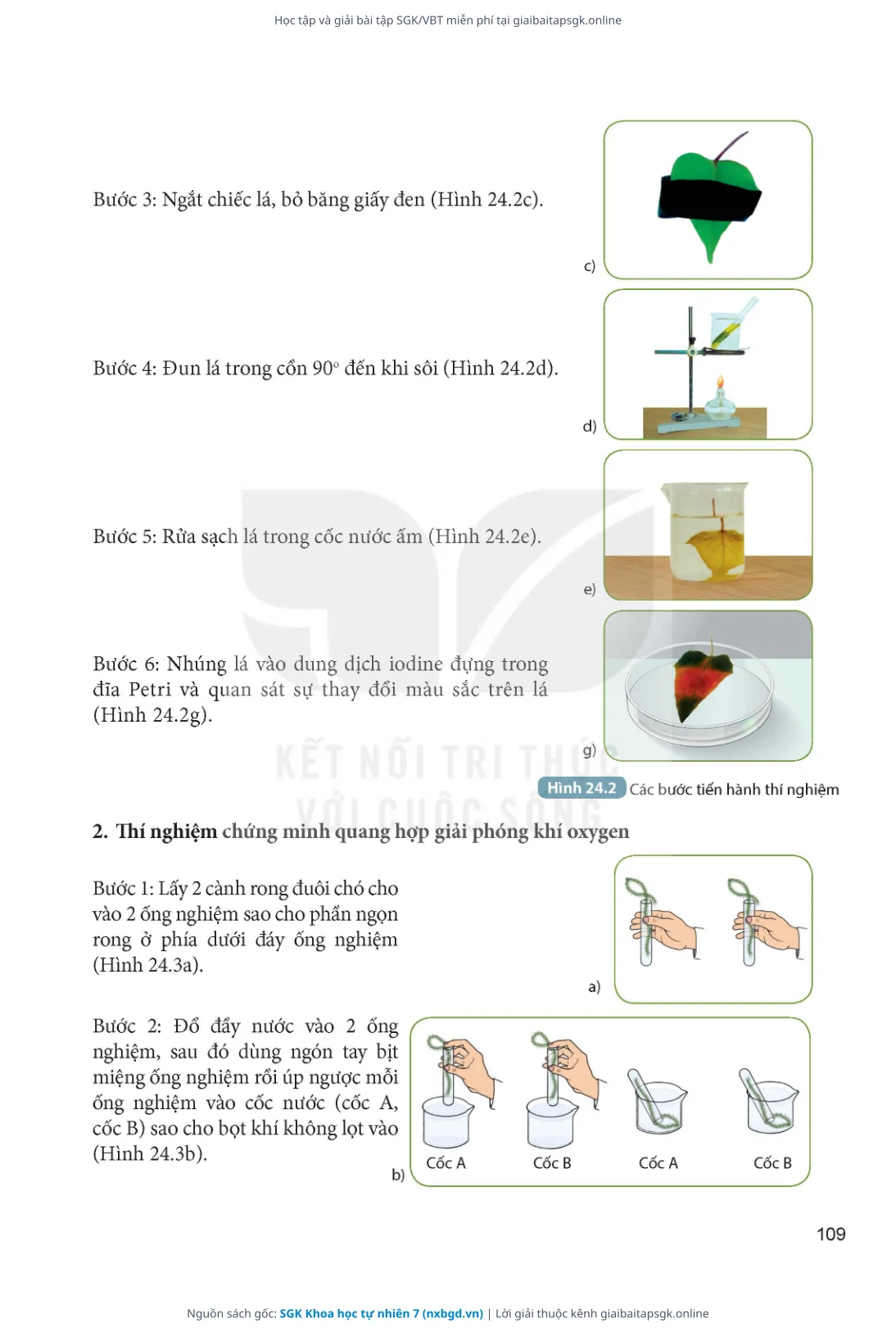 Trang 110 sách giáo khoa SGK Khoa học tự nhiên 7 thu nhỏ