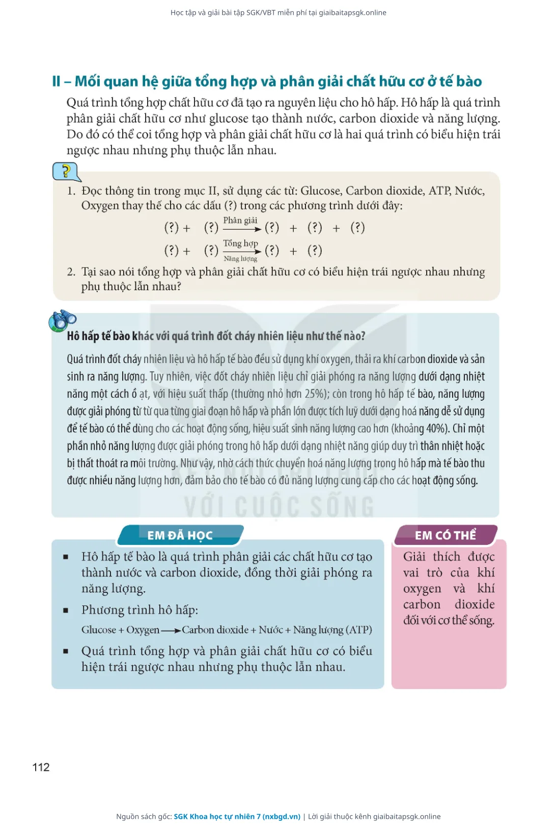 Trang 113 sách giáo khoa SGK Khoa học tự nhiên 7 thu nhỏ