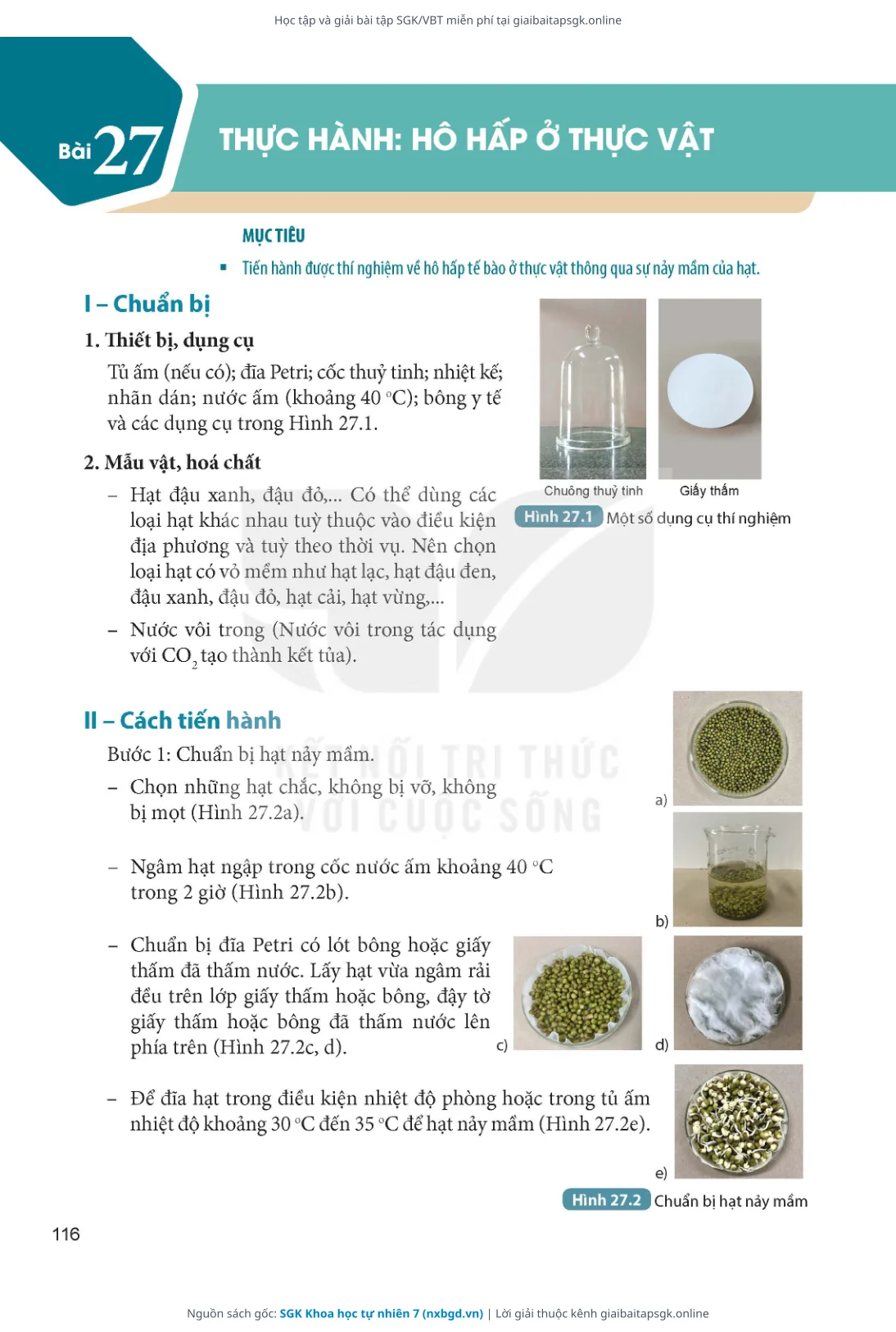 Trang 117 sách giáo khoa SGK Khoa học tự nhiên 7 thu nhỏ