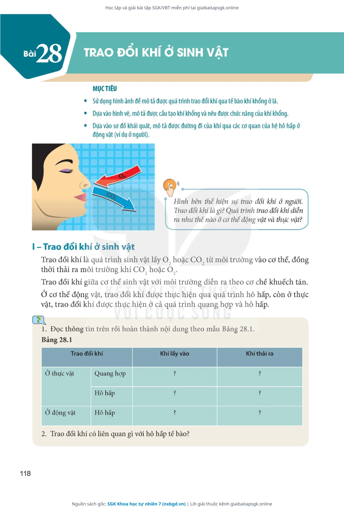 Trang 119 sách giáo khoa SGK Khoa học tự nhiên 7 thu nhỏ