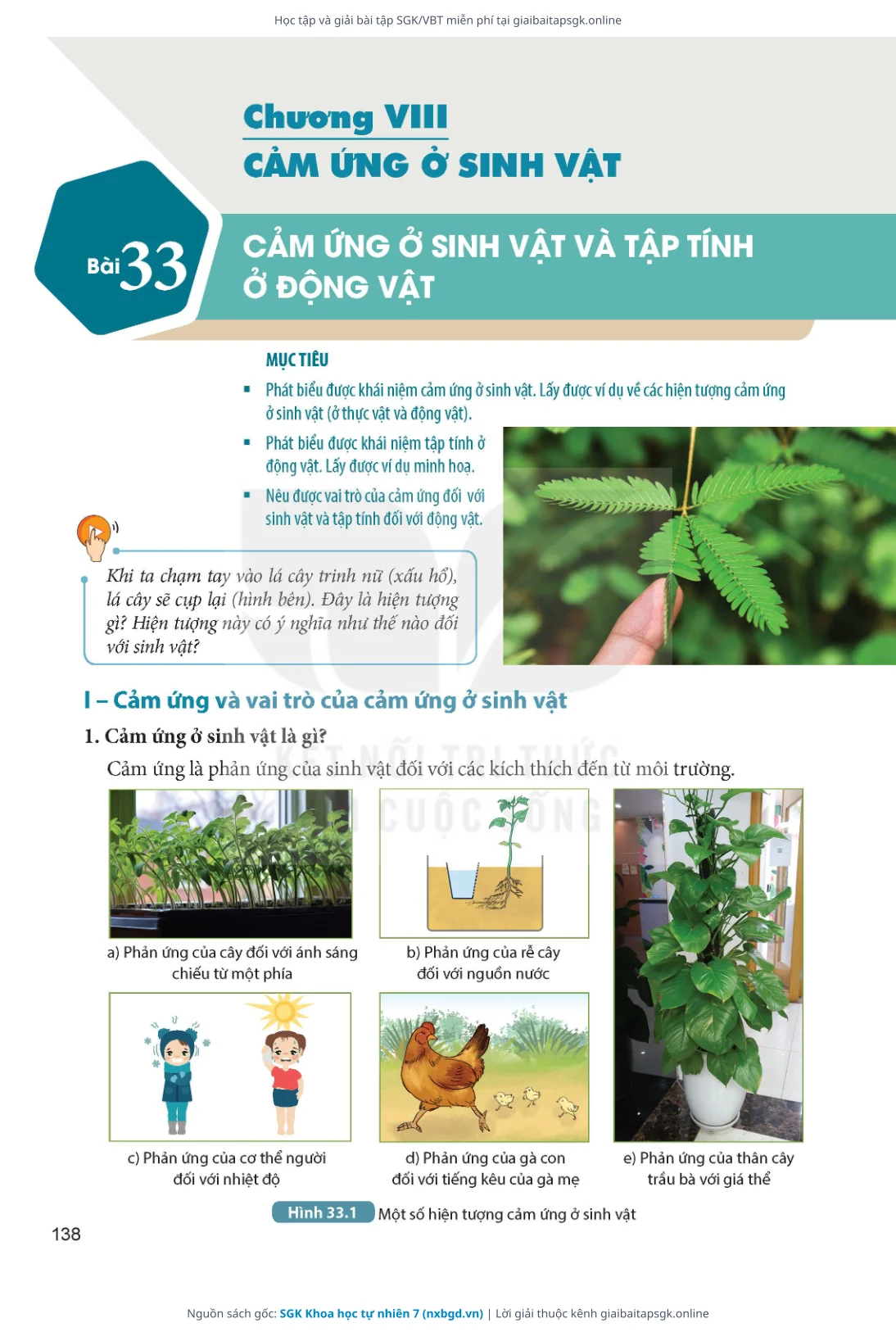 Trang 139 sách giáo khoa SGK Khoa học tự nhiên 7 thu nhỏ