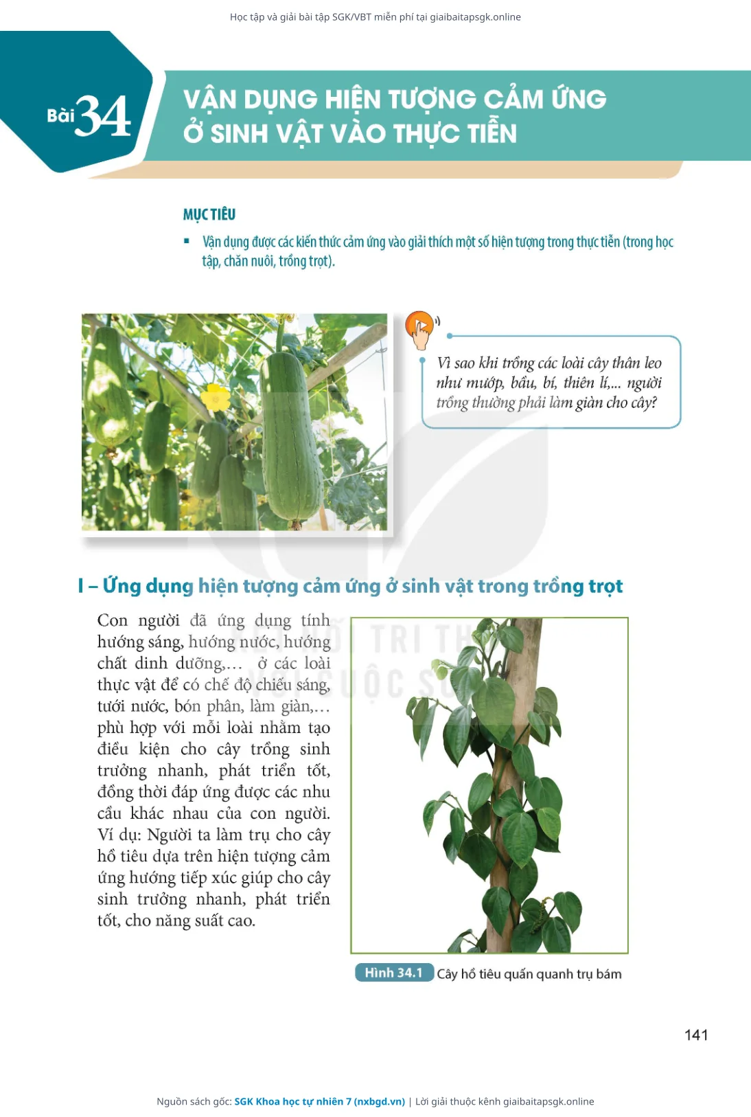 Trang 142 sách giáo khoa SGK Khoa học tự nhiên 7 thu nhỏ