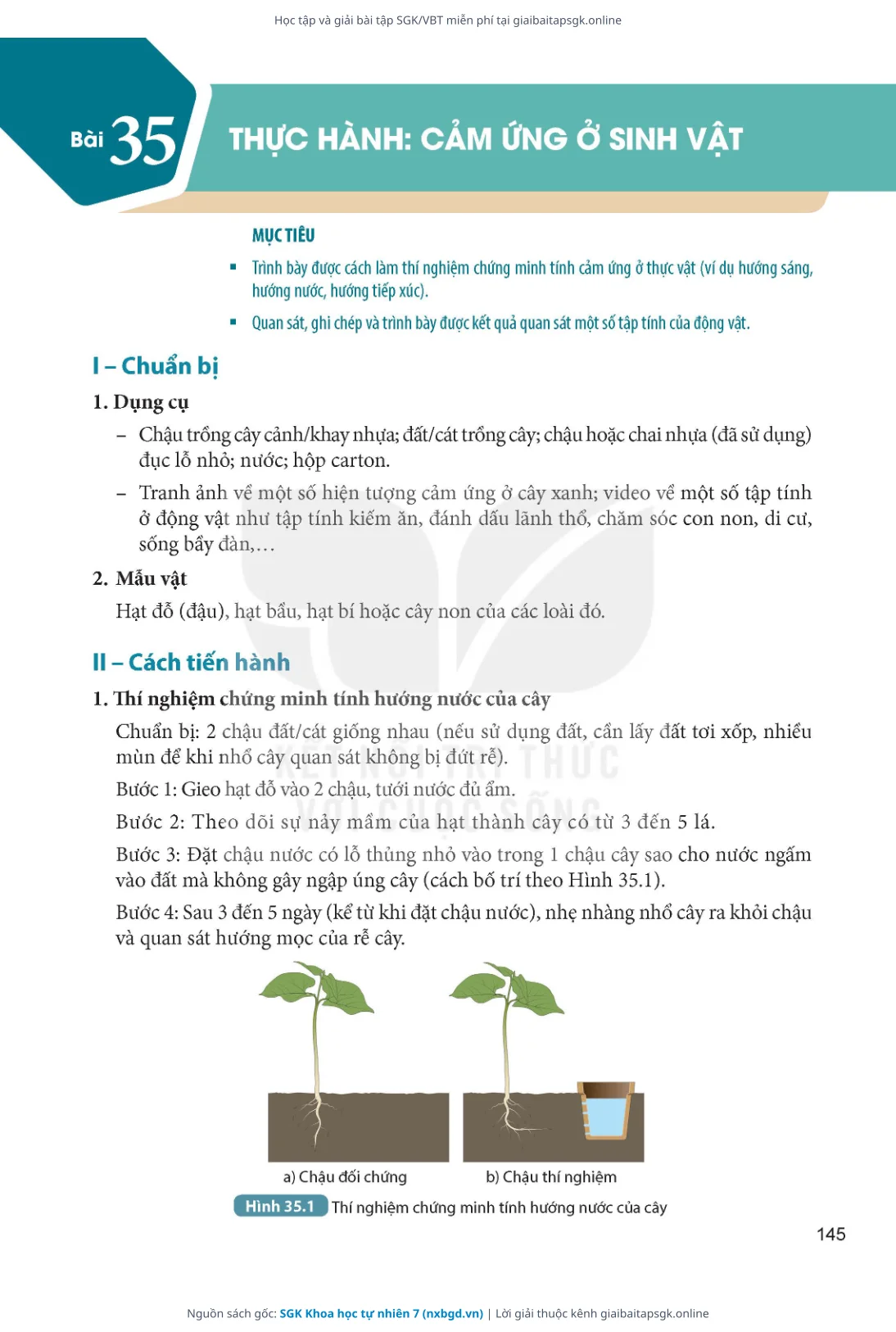 Trang 146 sách giáo khoa SGK Khoa học tự nhiên 7 thu nhỏ