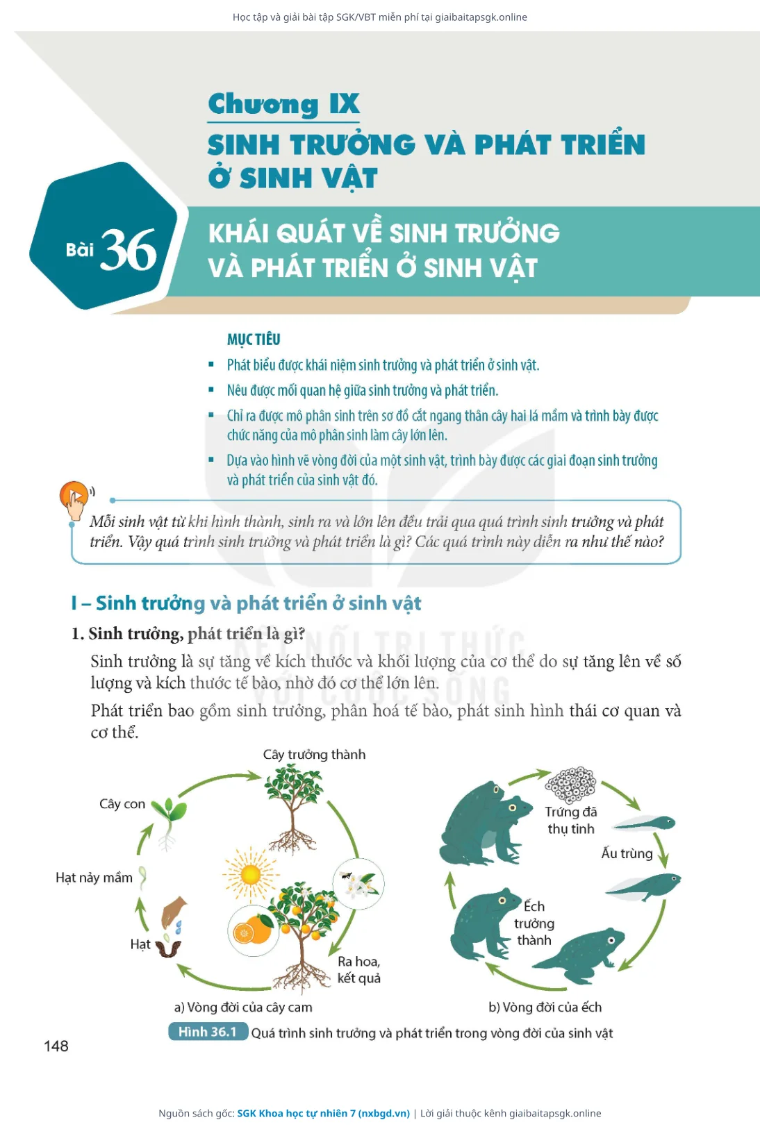 Trang 149 sách giáo khoa SGK Khoa học tự nhiên 7 thu nhỏ
