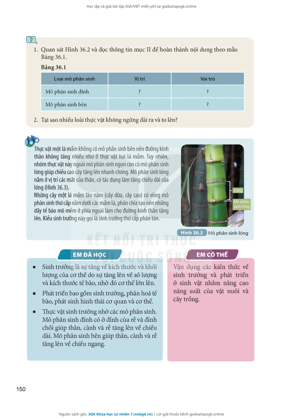 Trang 151 sách giáo khoa SGK Khoa học tự nhiên 7 thu nhỏ