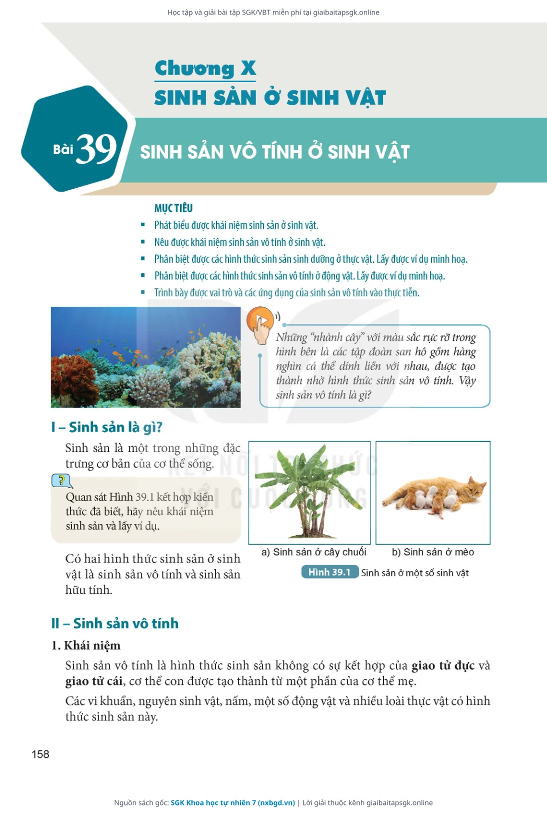 Trang 159 sách giáo khoa SGK Khoa học tự nhiên 7 thu nhỏ