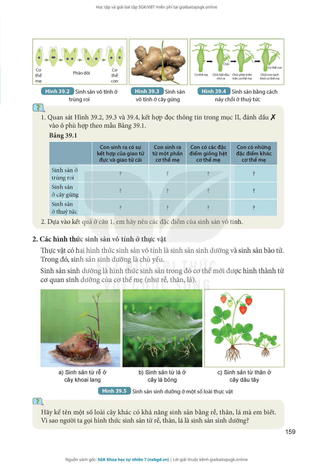 Trang 160 sách giáo khoa SGK Khoa học tự nhiên 7 thu nhỏ