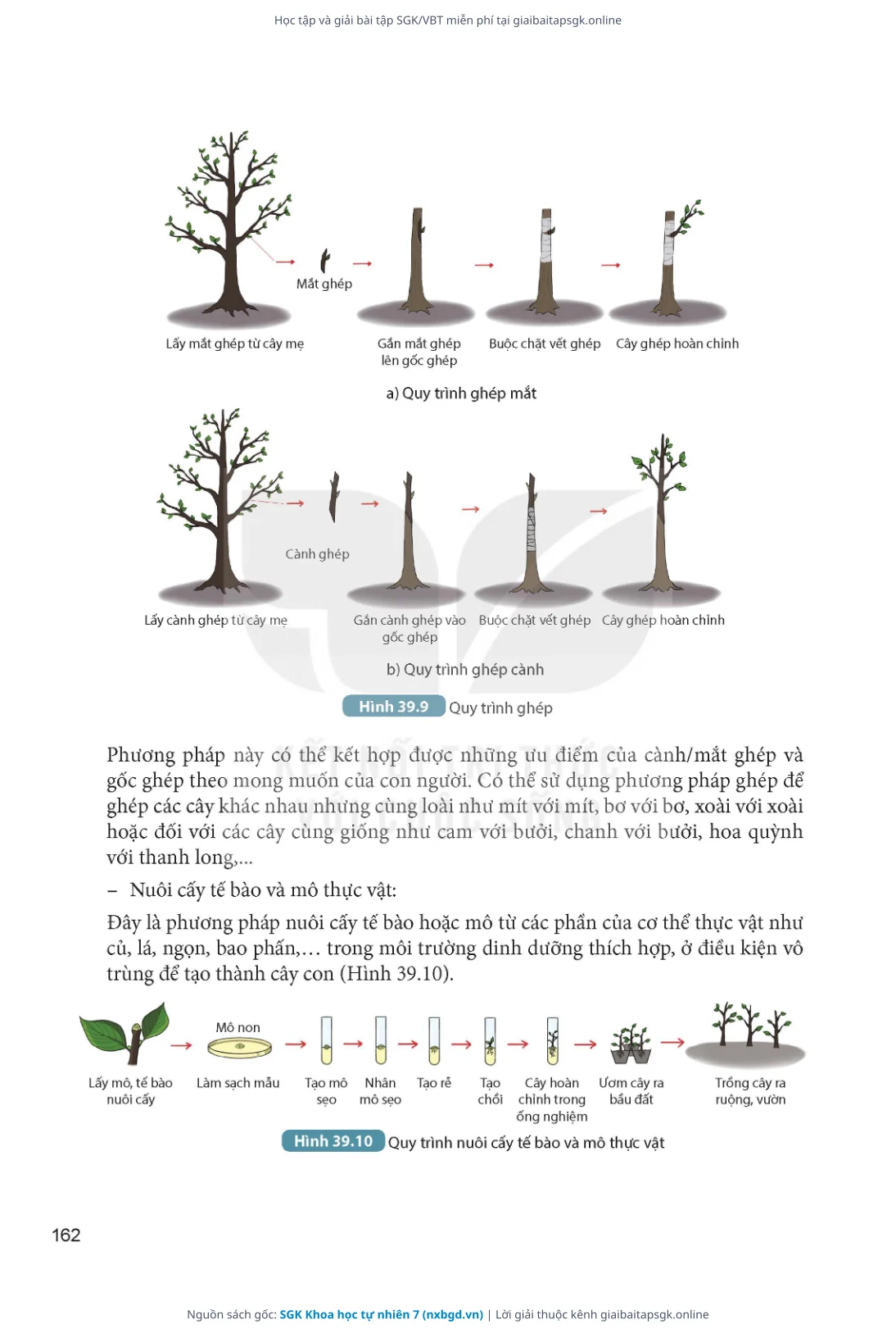 Trang 163 sách giáo khoa SGK Khoa học tự nhiên 7 thu nhỏ