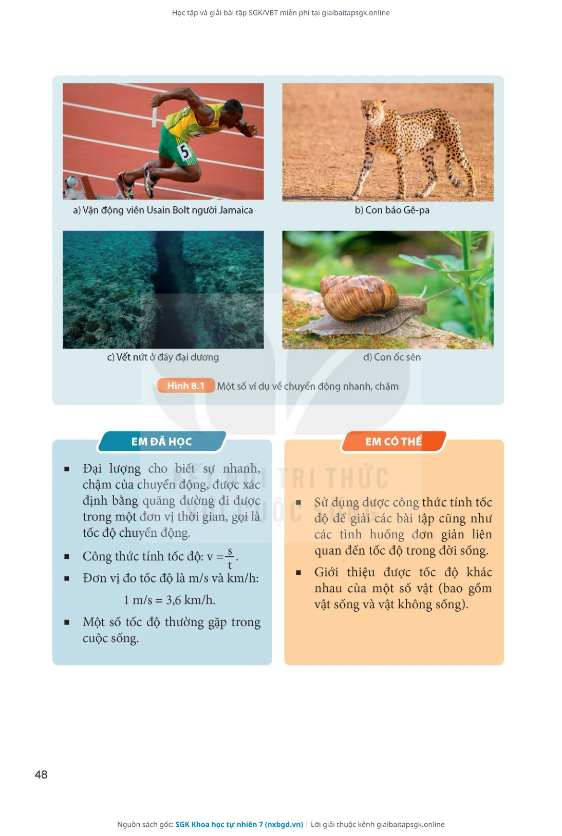 Trang 49 sách giáo khoa SGK Khoa học tự nhiên 7 thu nhỏ