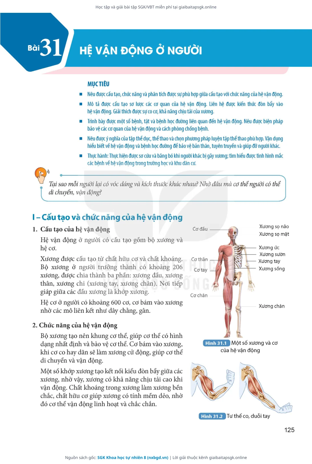 Trang 126 sách giáo khoa SGK Khoa học tự nhiên 8 thu nhỏ