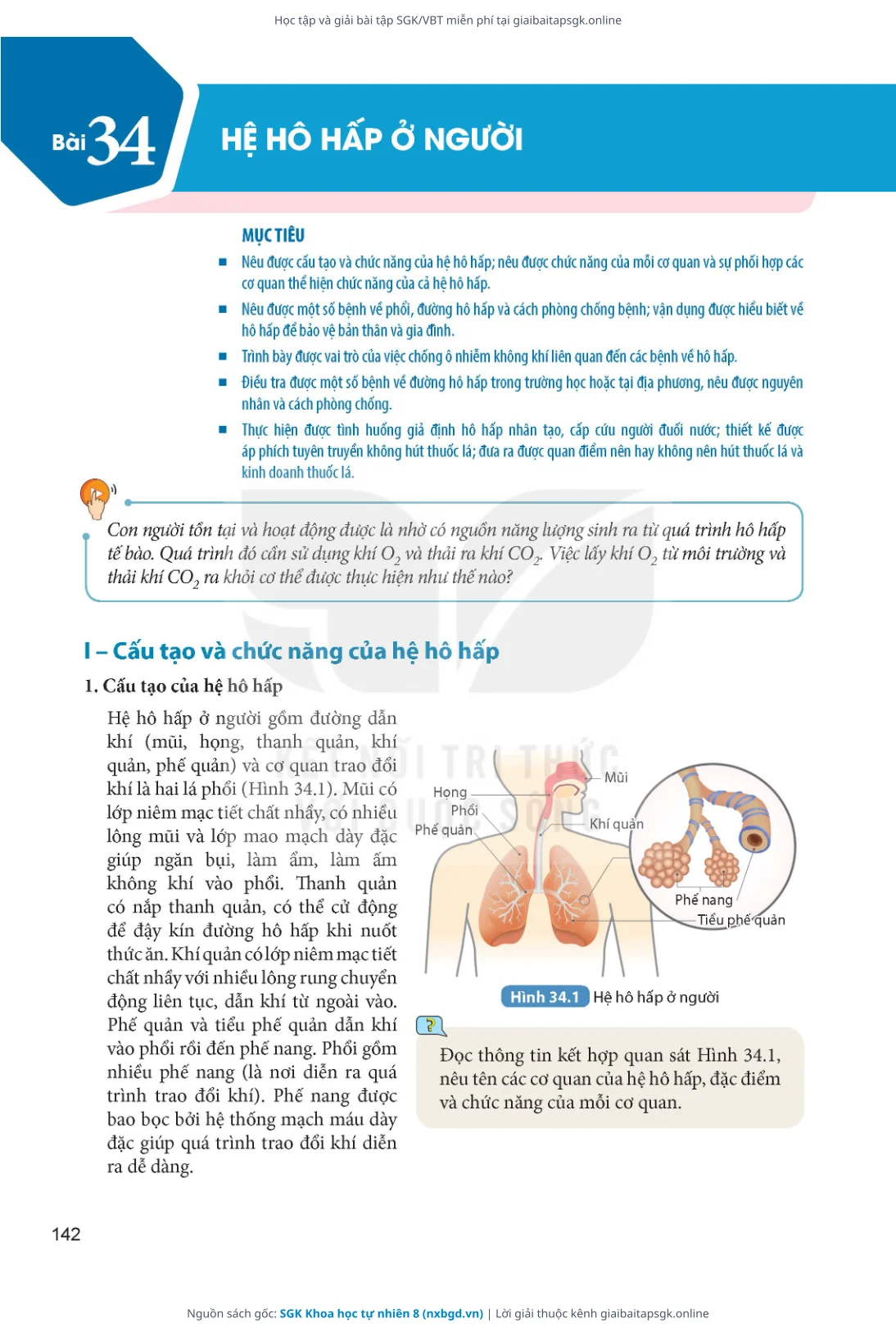 Trang 143 sách giáo khoa SGK Khoa học tự nhiên 8 thu nhỏ