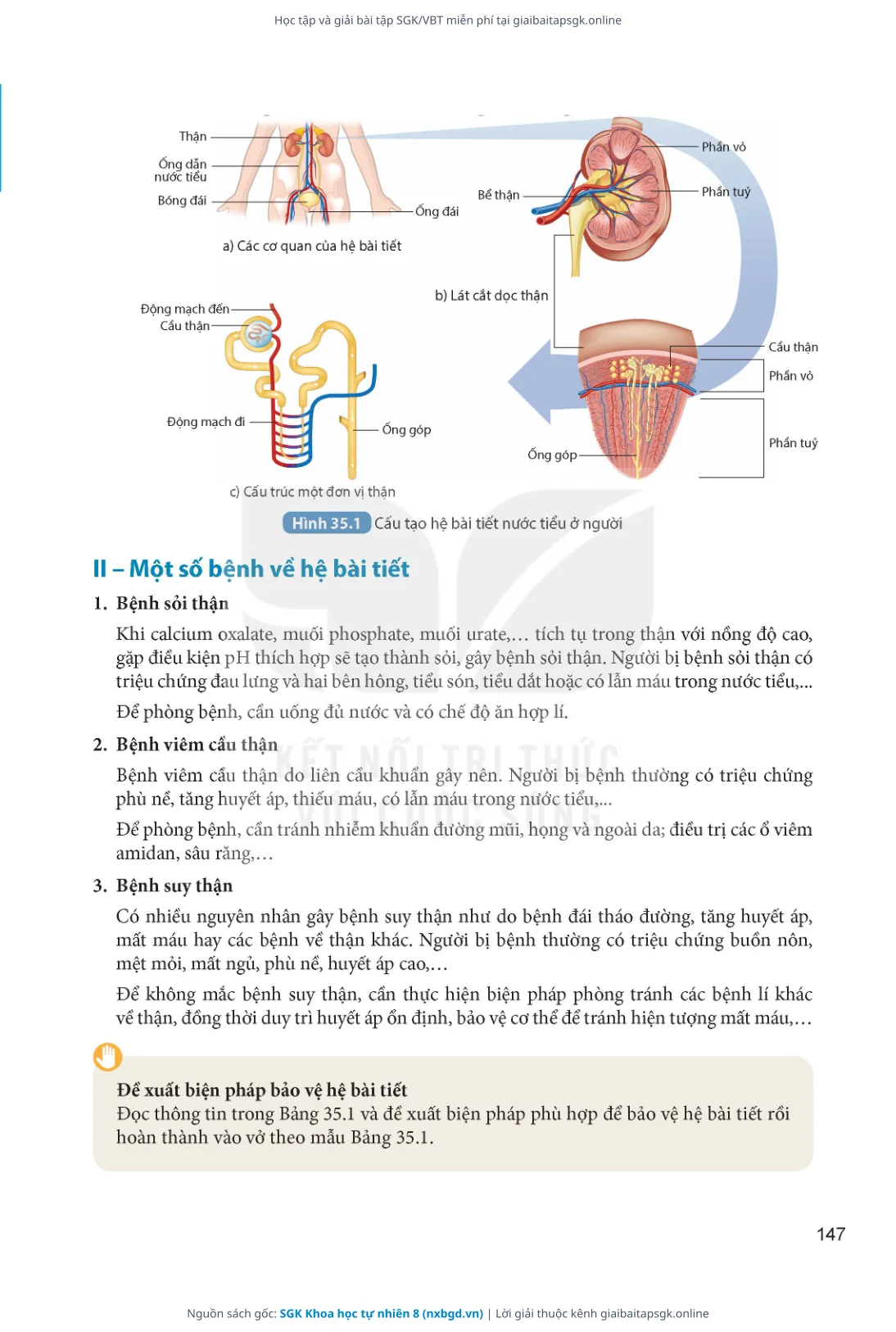 Trang 148 sách giáo khoa SGK Khoa học tự nhiên 8 thu nhỏ