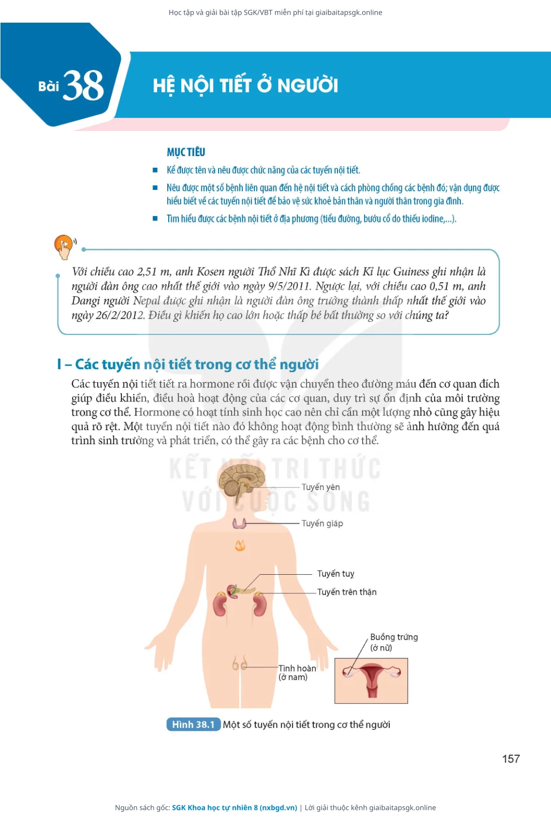 Trang 158 sách giáo khoa SGK Khoa học tự nhiên 8 thu nhỏ