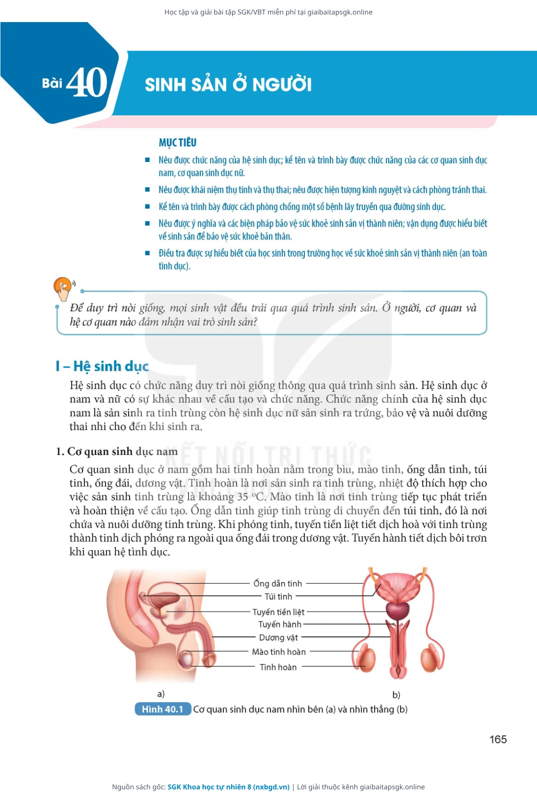 Trang 166 sách giáo khoa SGK Khoa học tự nhiên 8 thu nhỏ