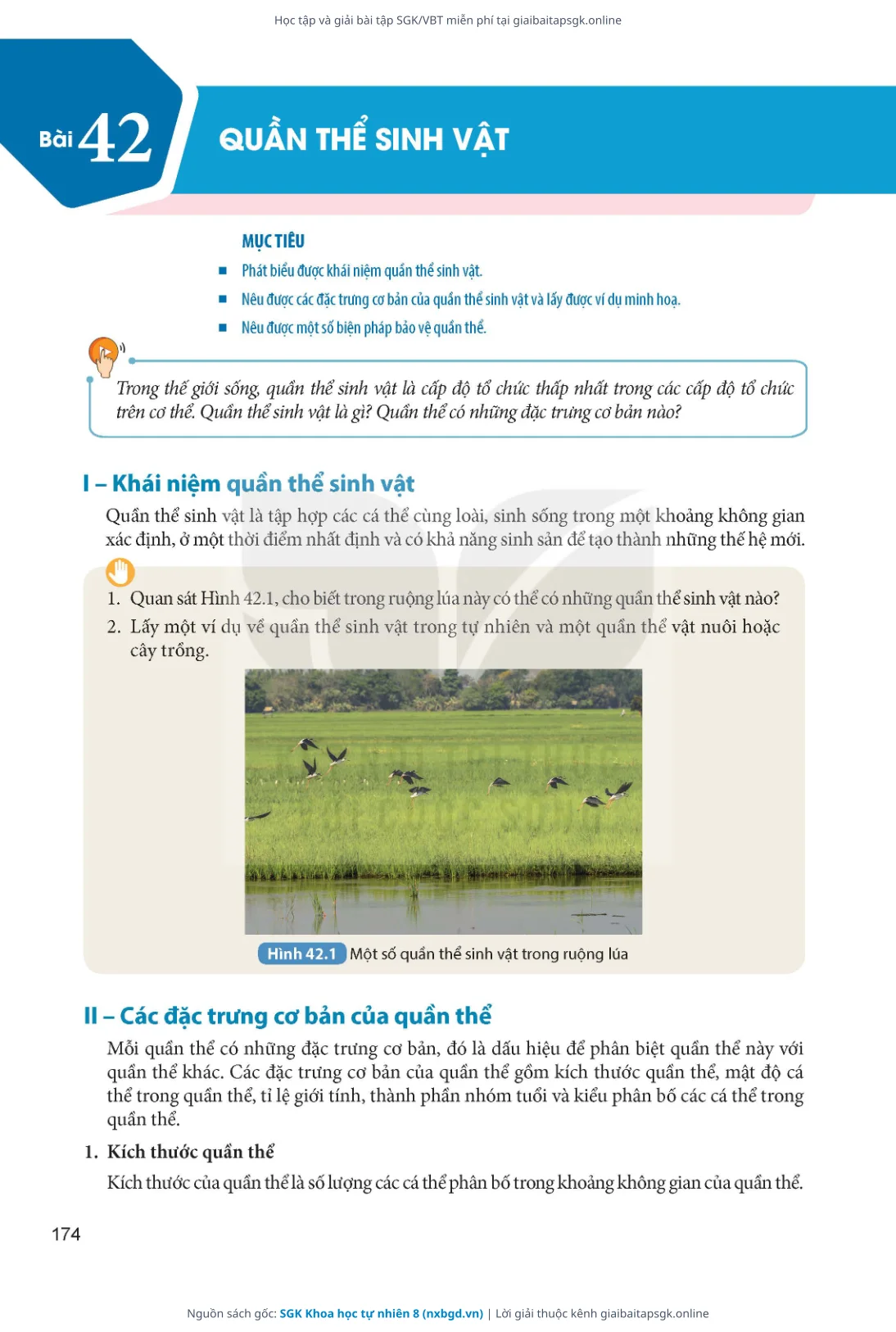 Trang 175 sách giáo khoa SGK Khoa học tự nhiên 8 thu nhỏ