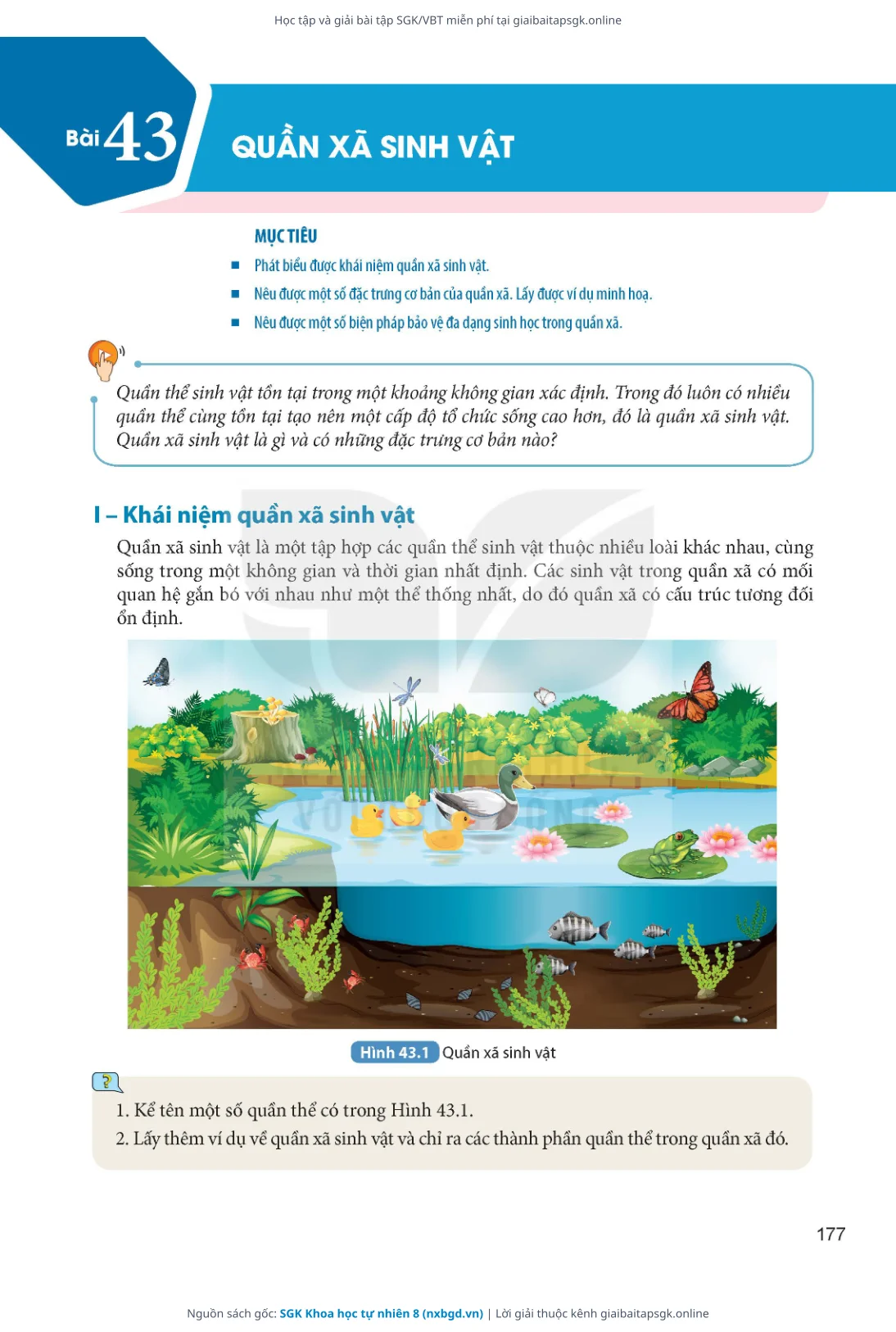 Trang 178 sách giáo khoa SGK Khoa học tự nhiên 8 thu nhỏ