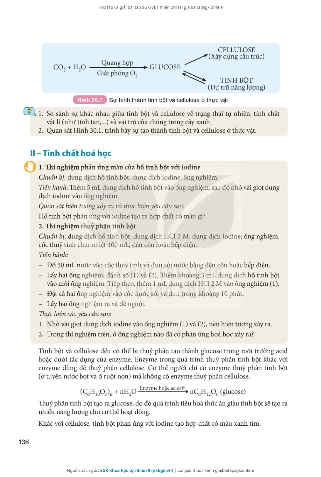 Trang 137 sách giáo khoa SGK Khoa học tự nhiên 9 thu nhỏ