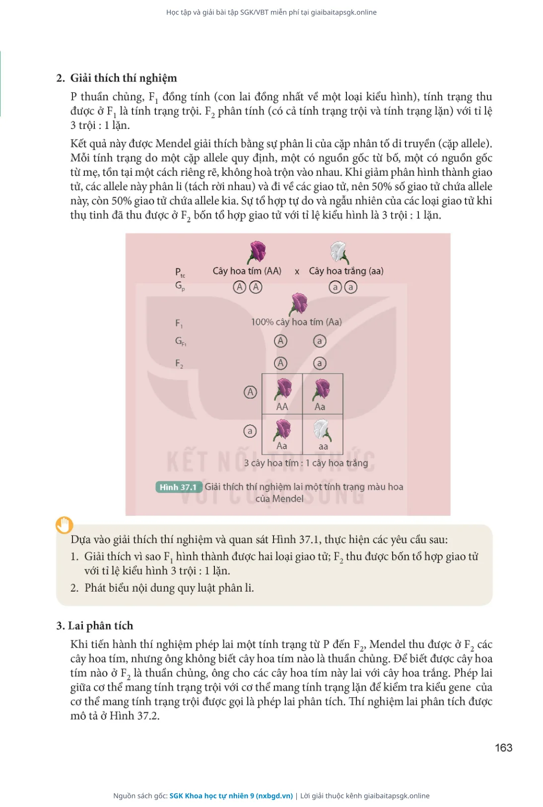 Trang 164 sách giáo khoa SGK Khoa học tự nhiên 9 thu nhỏ