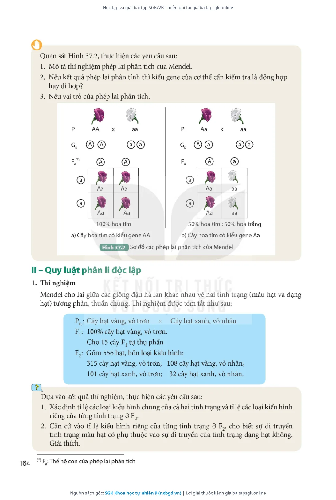 Trang 165 sách giáo khoa SGK Khoa học tự nhiên 9 thu nhỏ