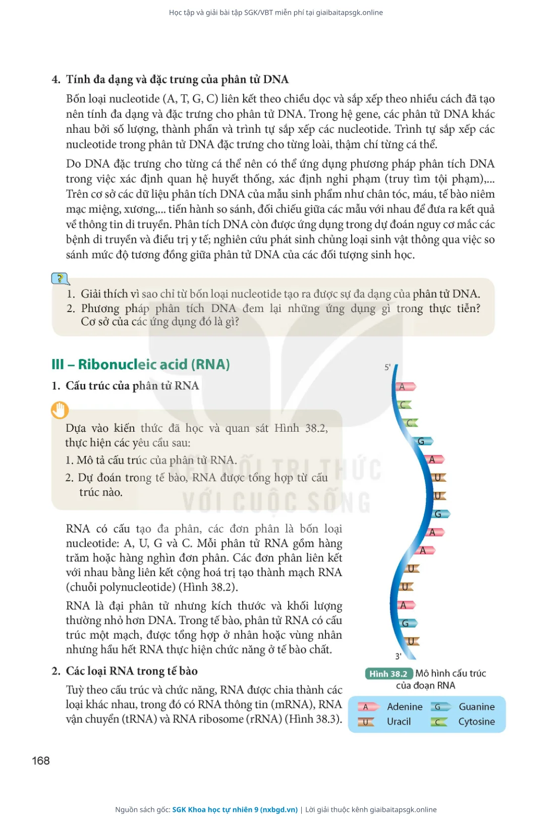 Trang 169 sách giáo khoa SGK Khoa học tự nhiên 9 thu nhỏ