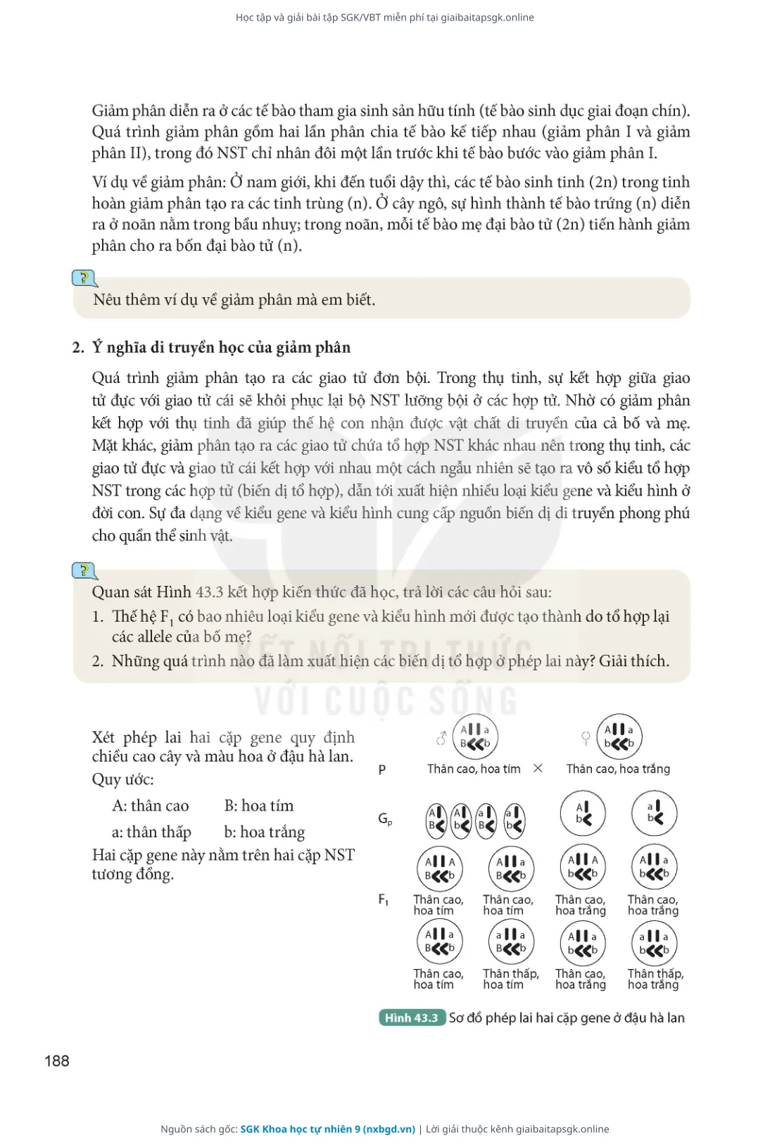 Trang 189 sách giáo khoa SGK Khoa học tự nhiên 9 thu nhỏ