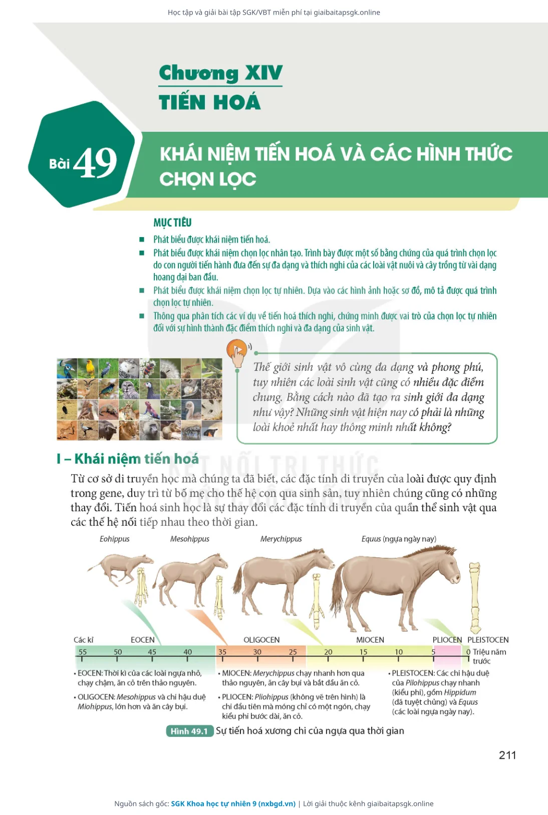 Trang 212 sách giáo khoa SGK Khoa học tự nhiên 9 thu nhỏ