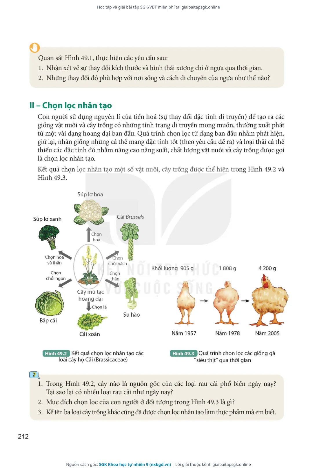 Trang 213 sách giáo khoa SGK Khoa học tự nhiên 9 thu nhỏ