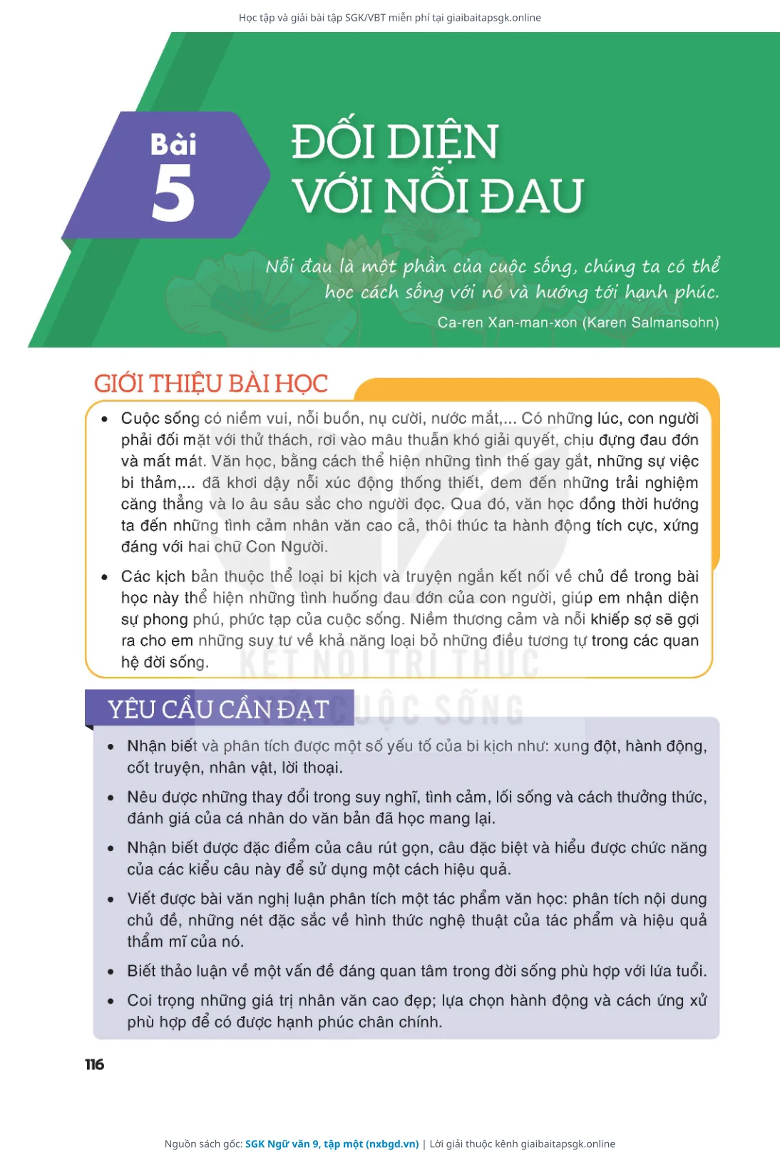 Trang 117 sách giáo khoa SGK Ngữ văn 9, tập một thu nhỏ